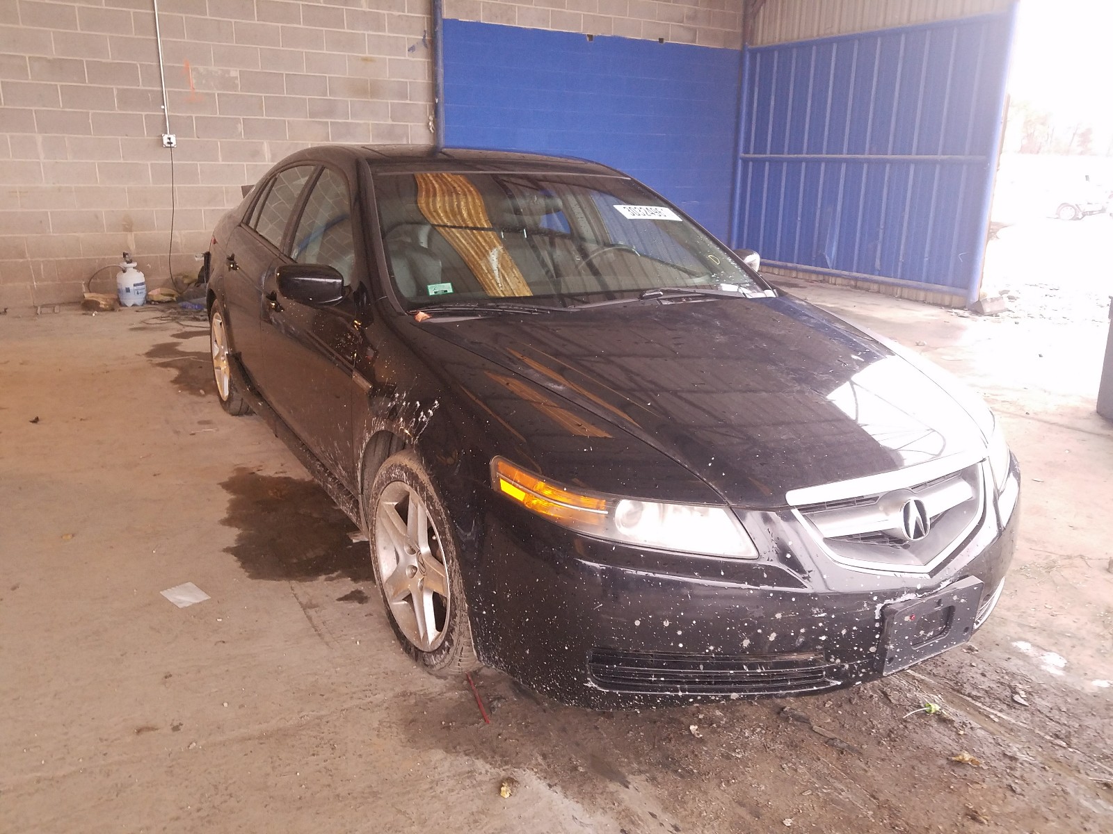 acura 3.2tl 2006 19uua65516a048715