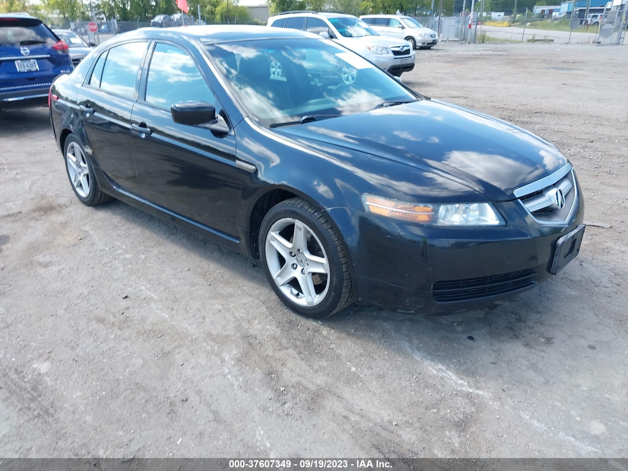 acura tl 2004 19uua66204a029283