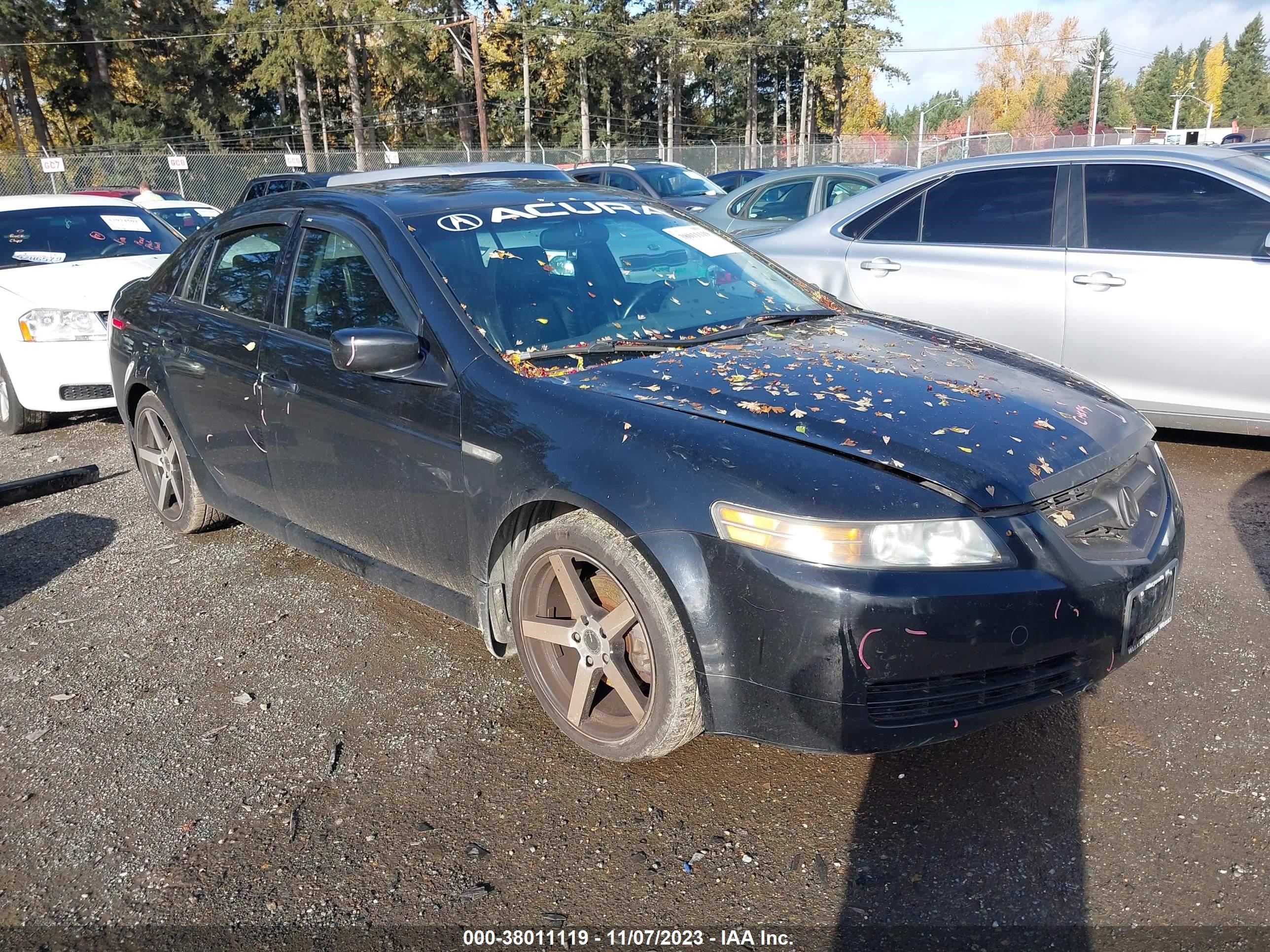 acura tl 2004 19uua66204a051848