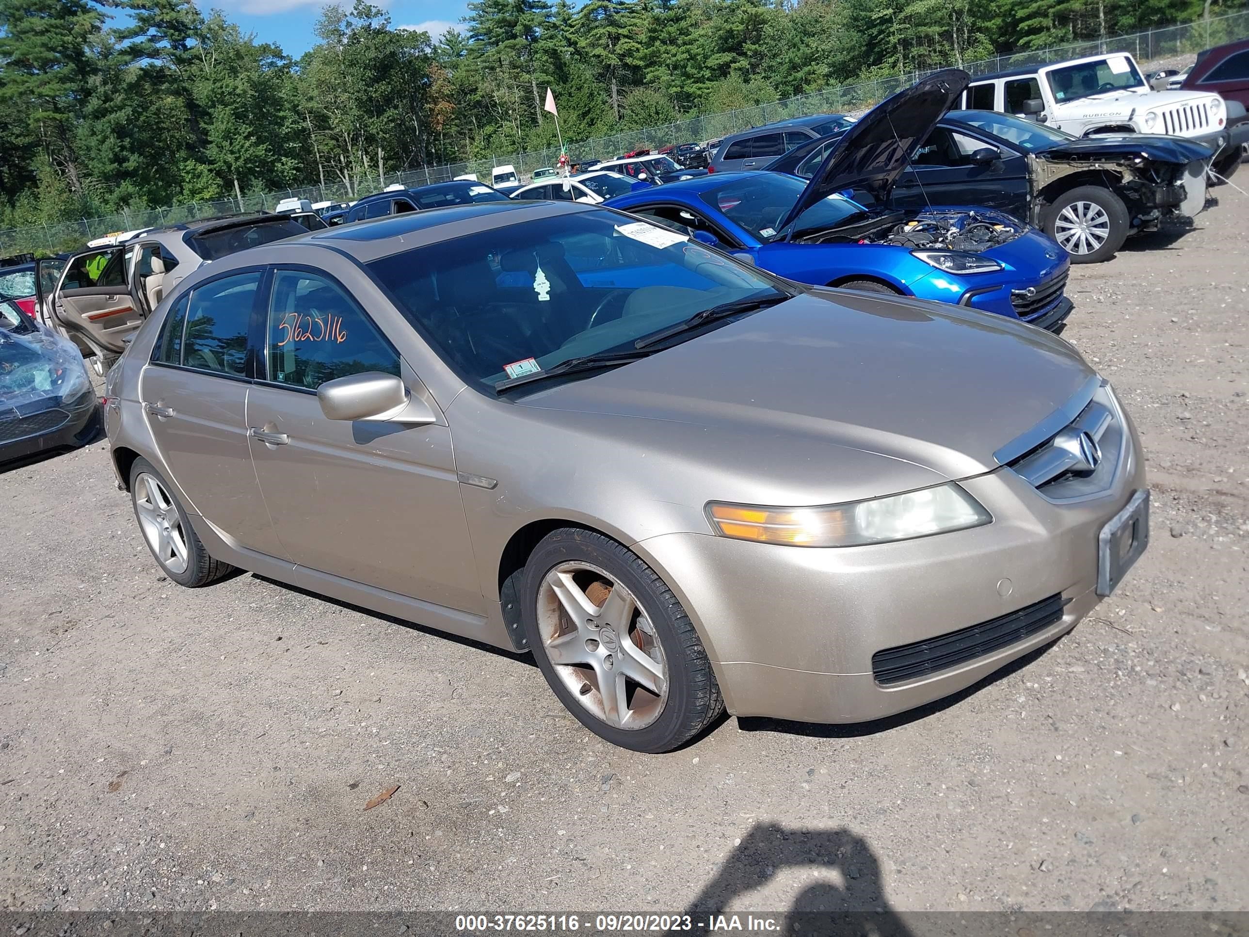 acura tl 2005 19uua66205a012579