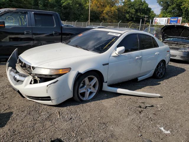 acura 3.2tl 2006 19uua66206a064490