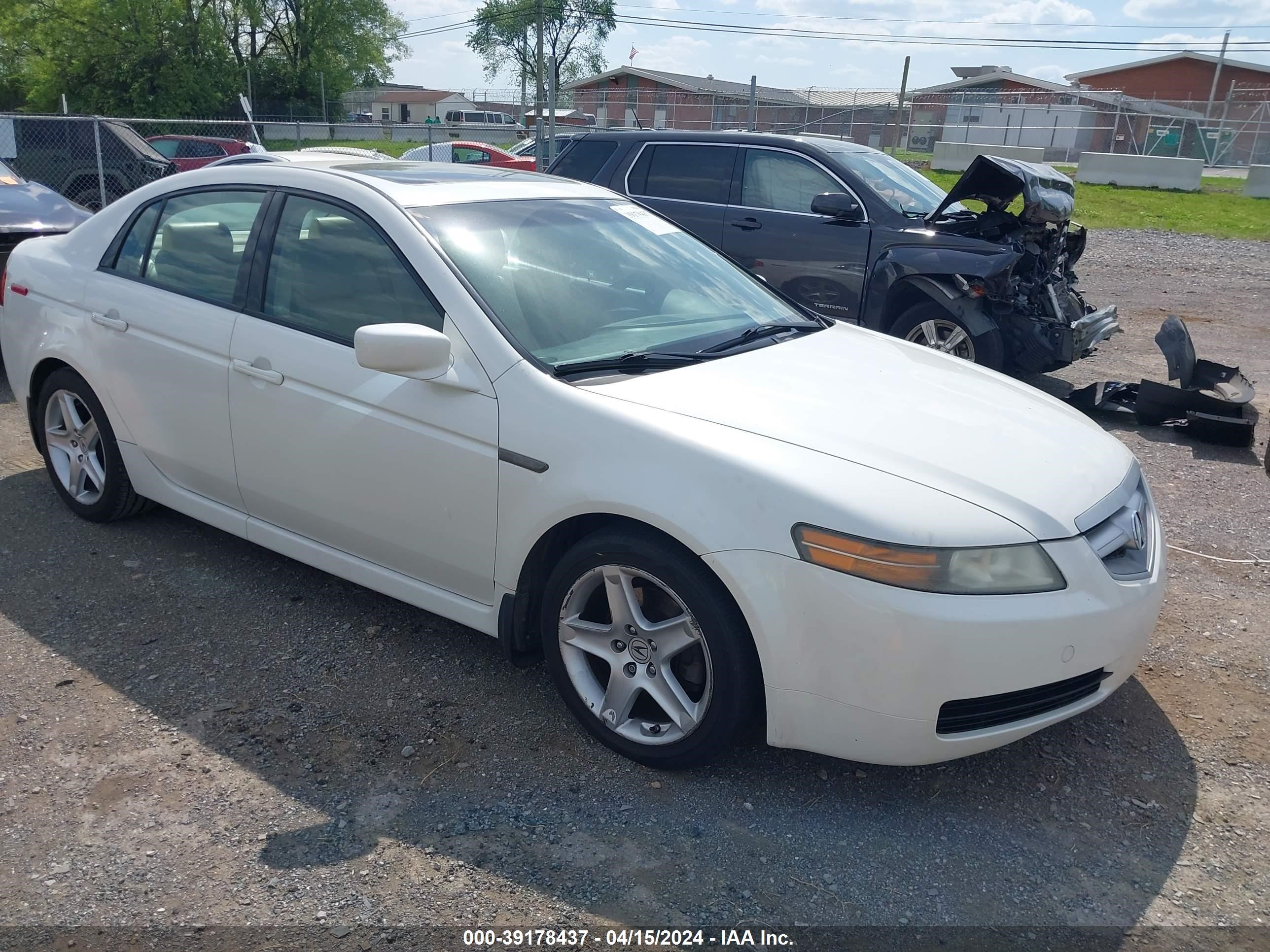 acura tl 2006 19uua66206a095982