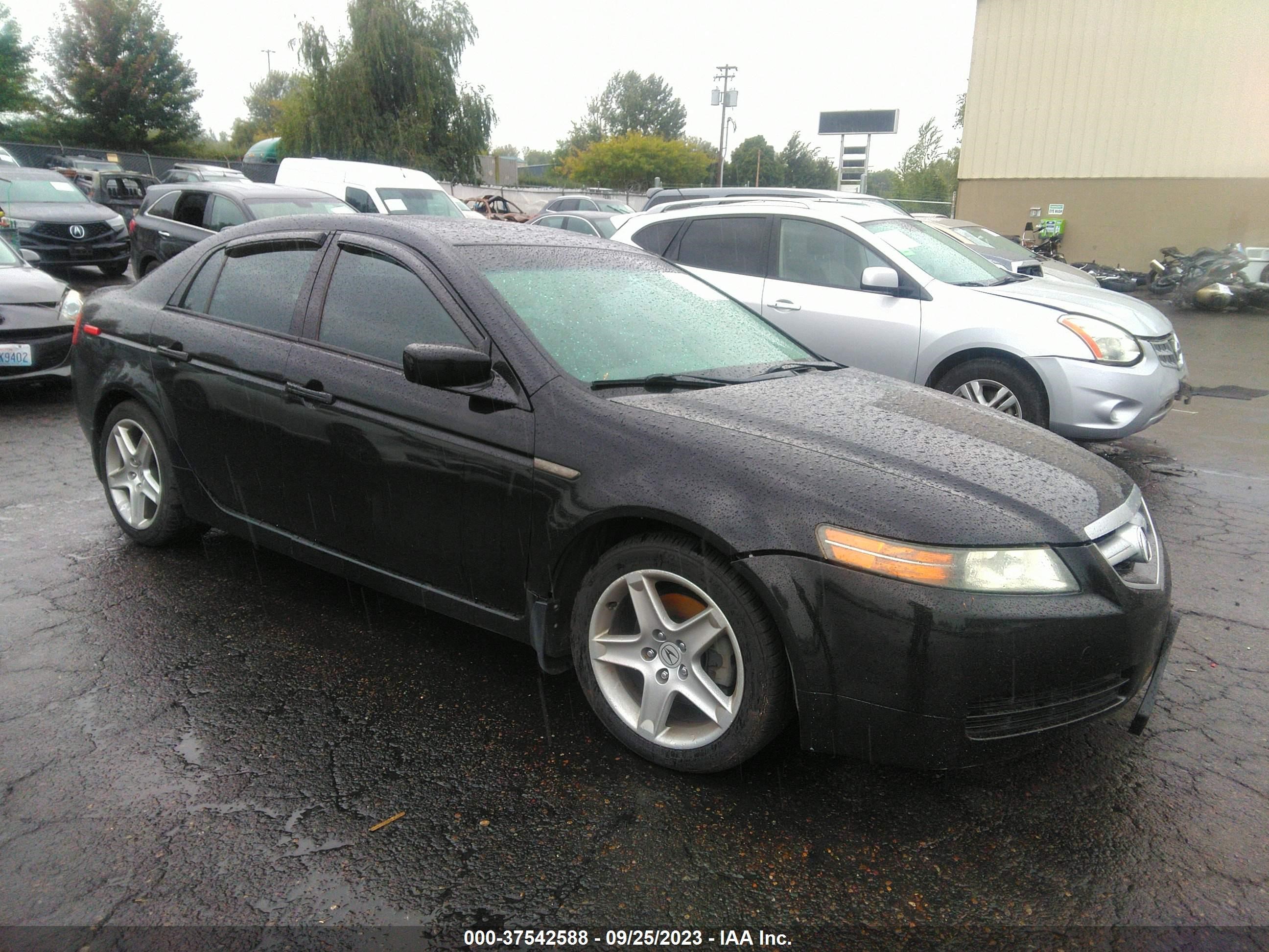 acura tl 2006 19uua66216a011393