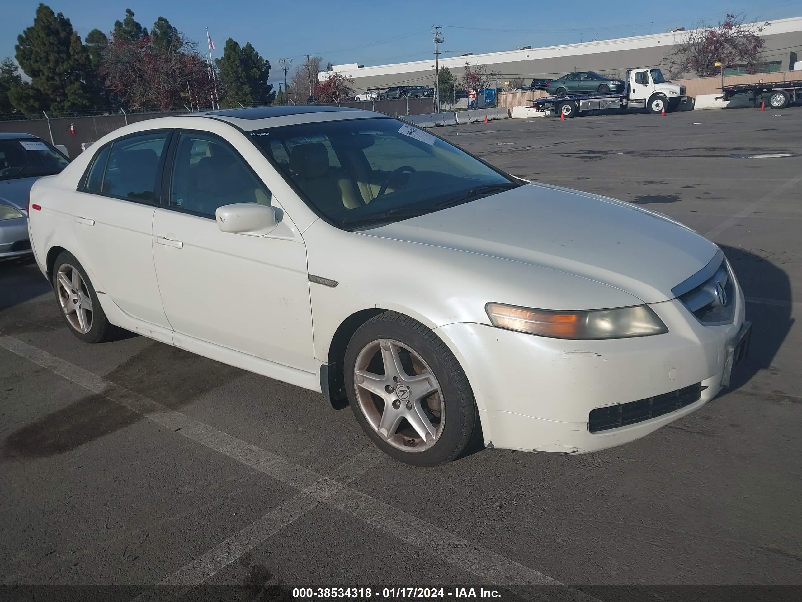 acura tl 2006 19uua66216a033457