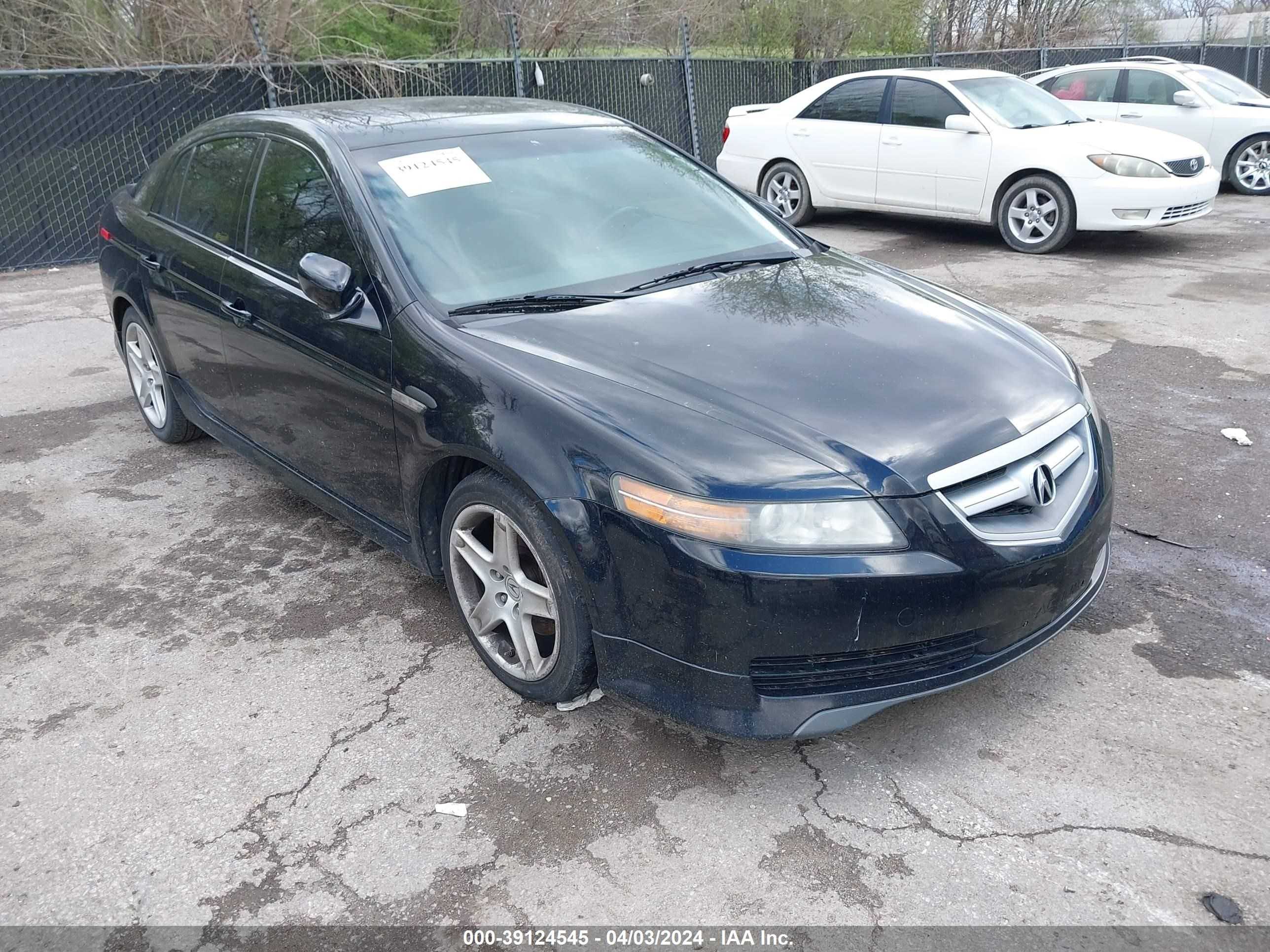 acura tl 2006 19uua66216a046516