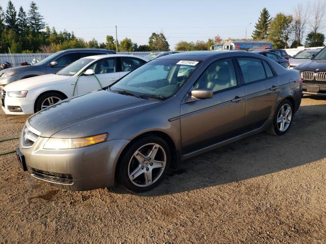 acura 3.2tl 2006 19uua66216a803379