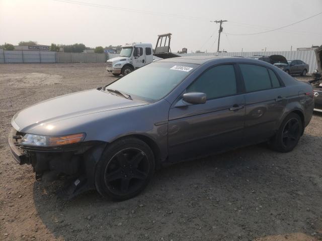 acura tl 2005 19uua66225a009456