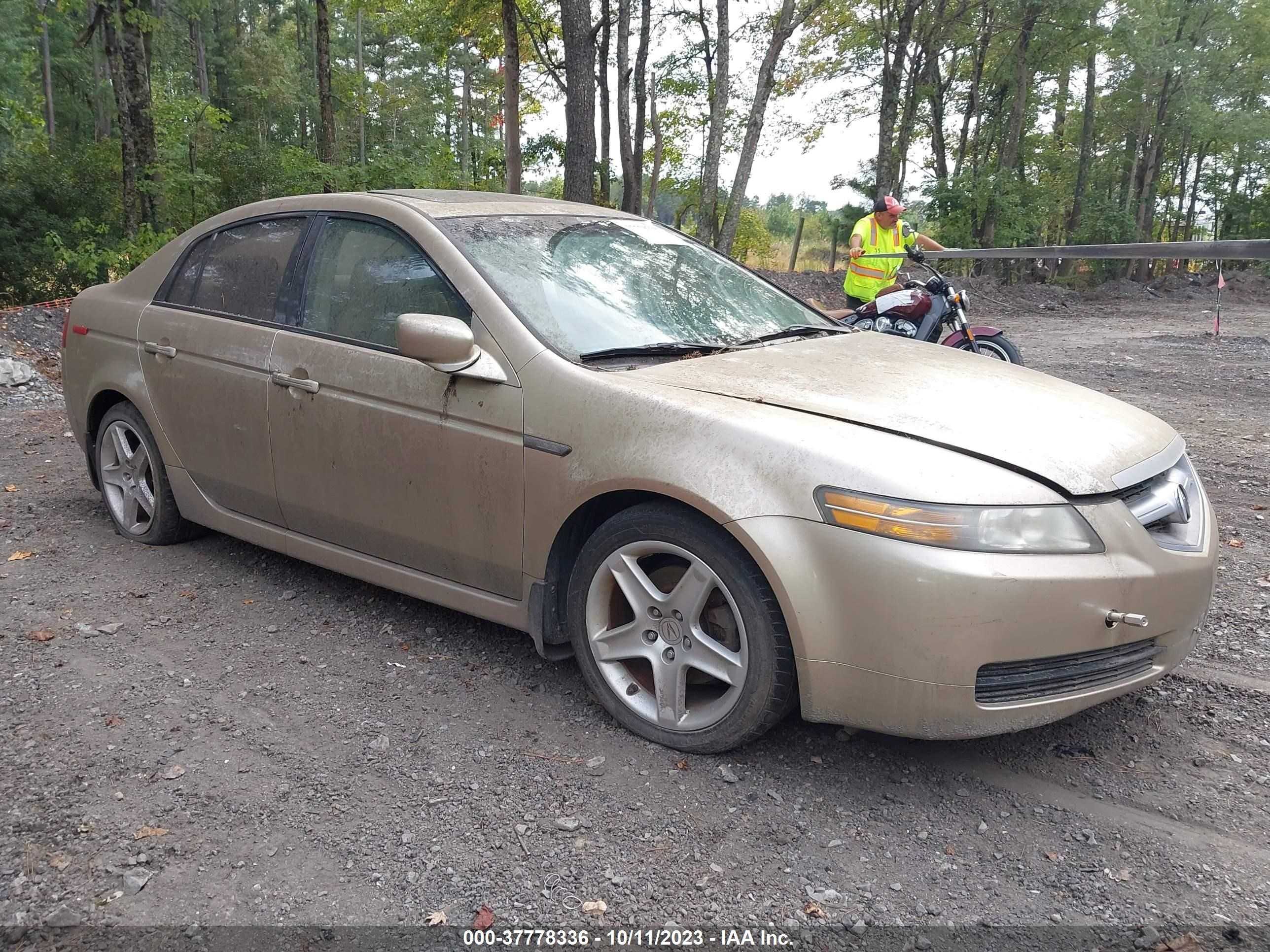 acura tl 2005 19uua66225a066126