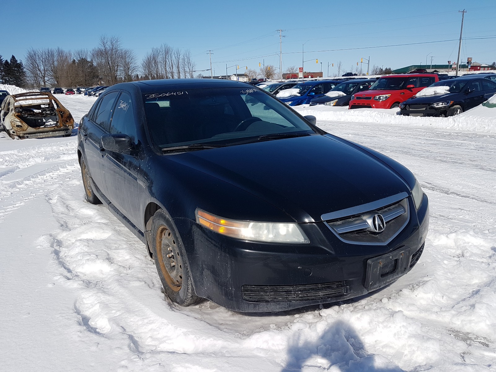 acura tl 2005 19uua66225a804104