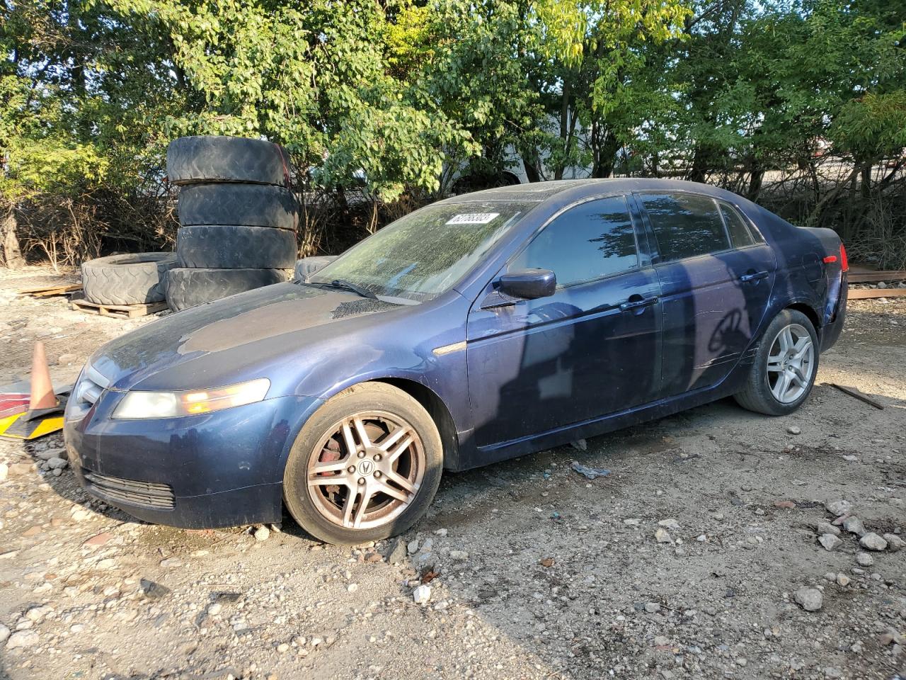 acura tl 2006 19uua66226a017655