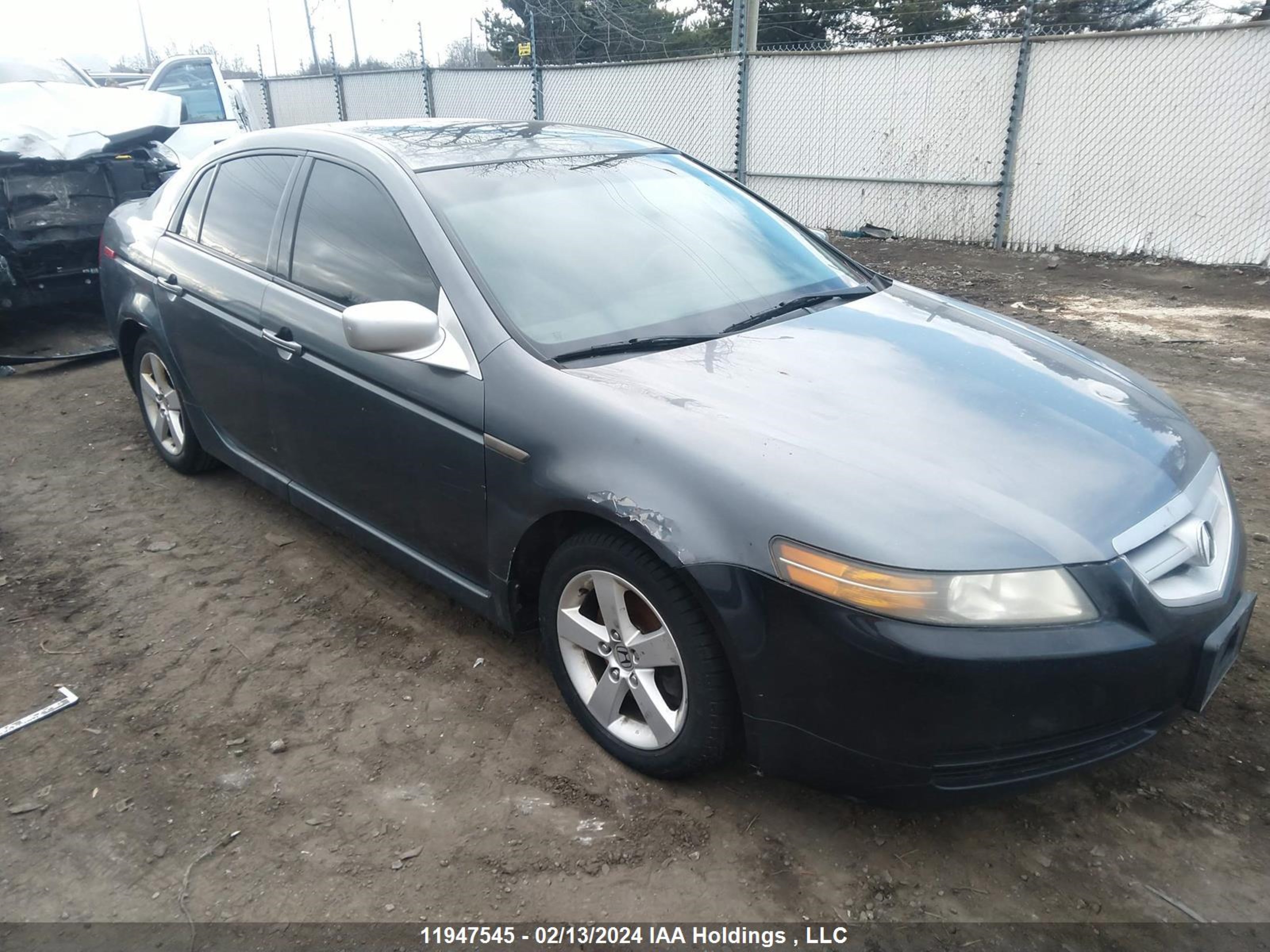 acura tl 2005 19uua66235a802006