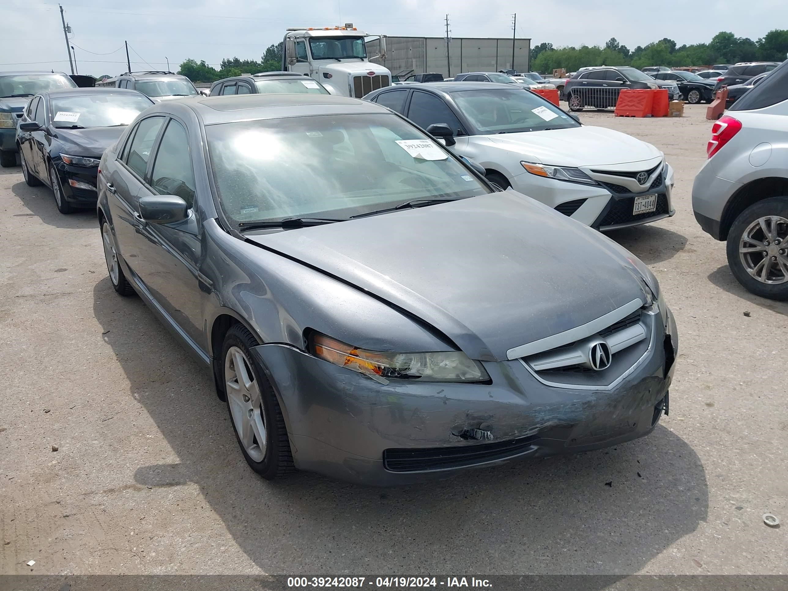 acura tl 2006 19uua66236a037669