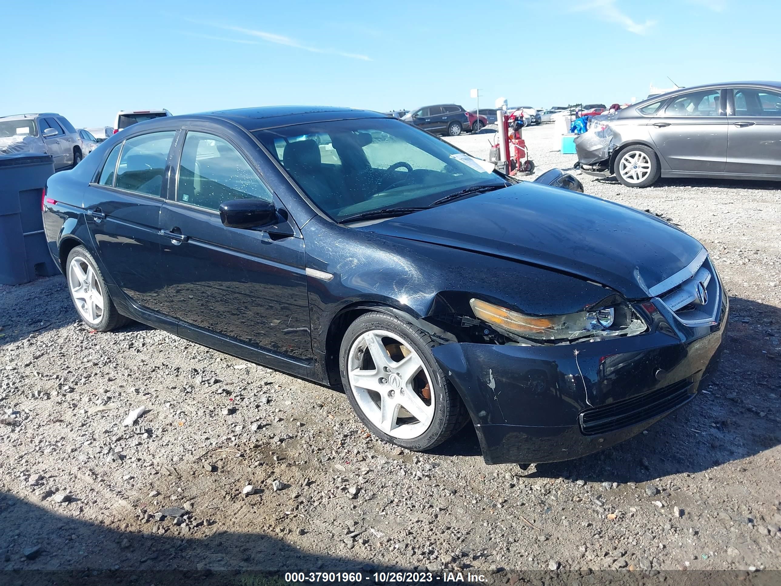 acura tl 2006 19uua66236a062863