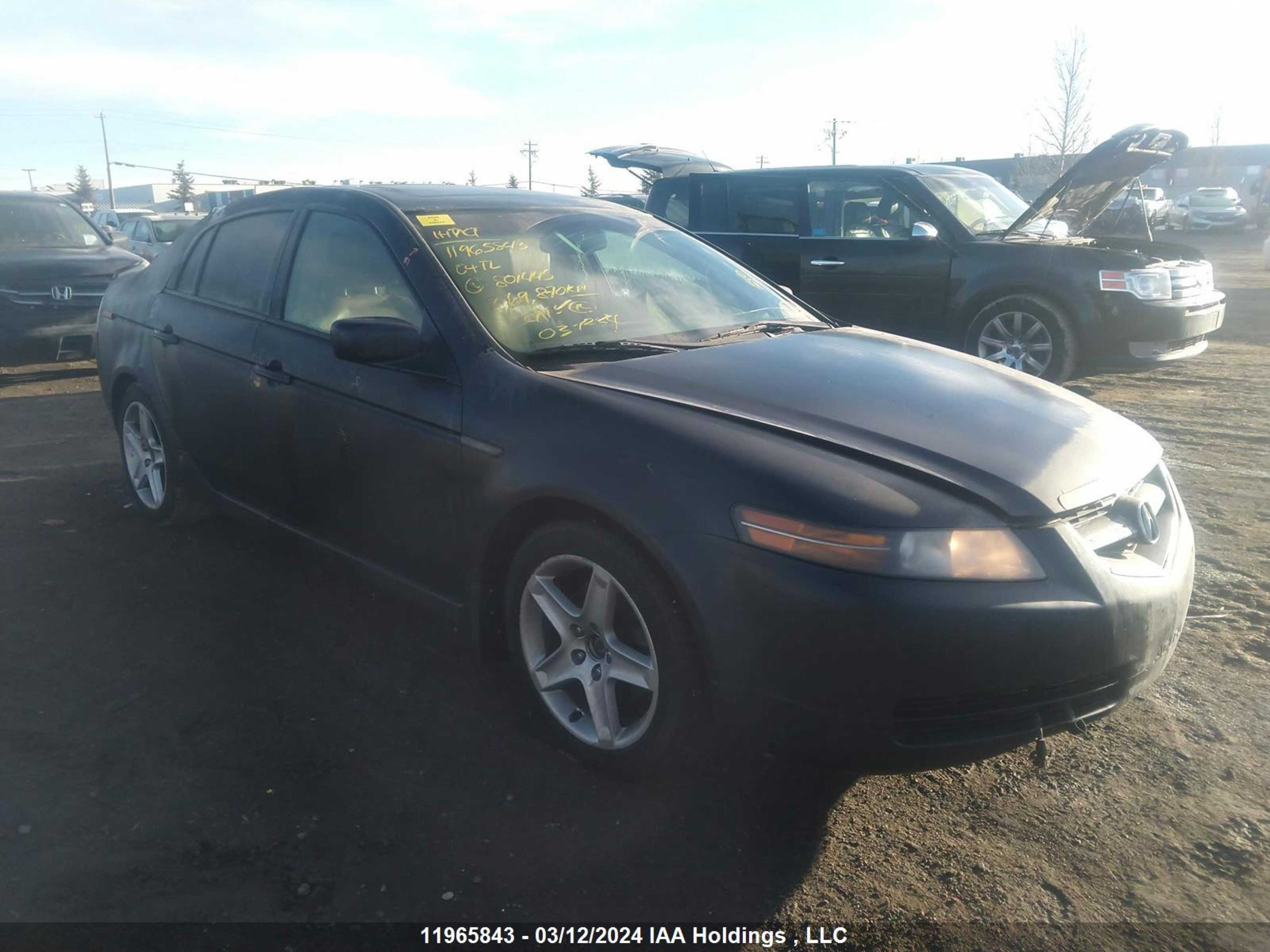 acura tl 2004 19uua66244a801445