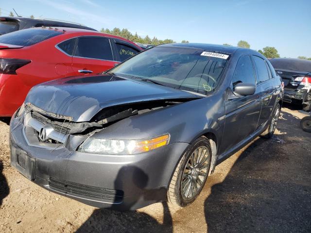 acura 3.2tl 2006 19uua66256a012160