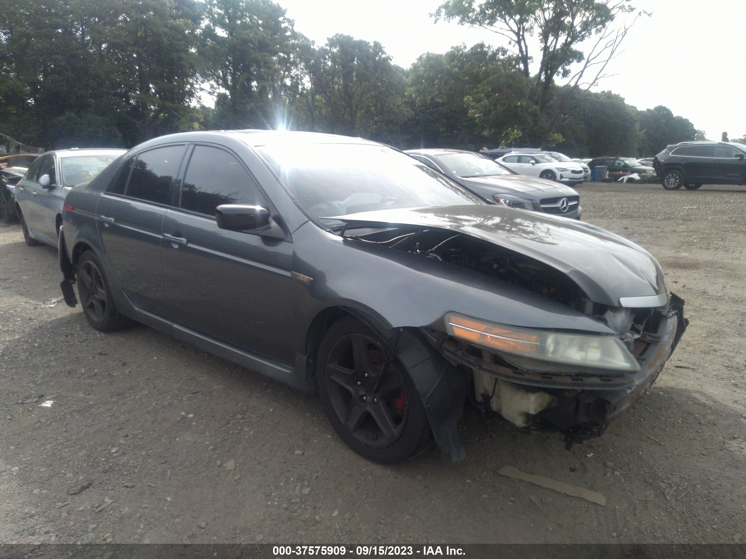 acura tl 2006 19uua66256a018685