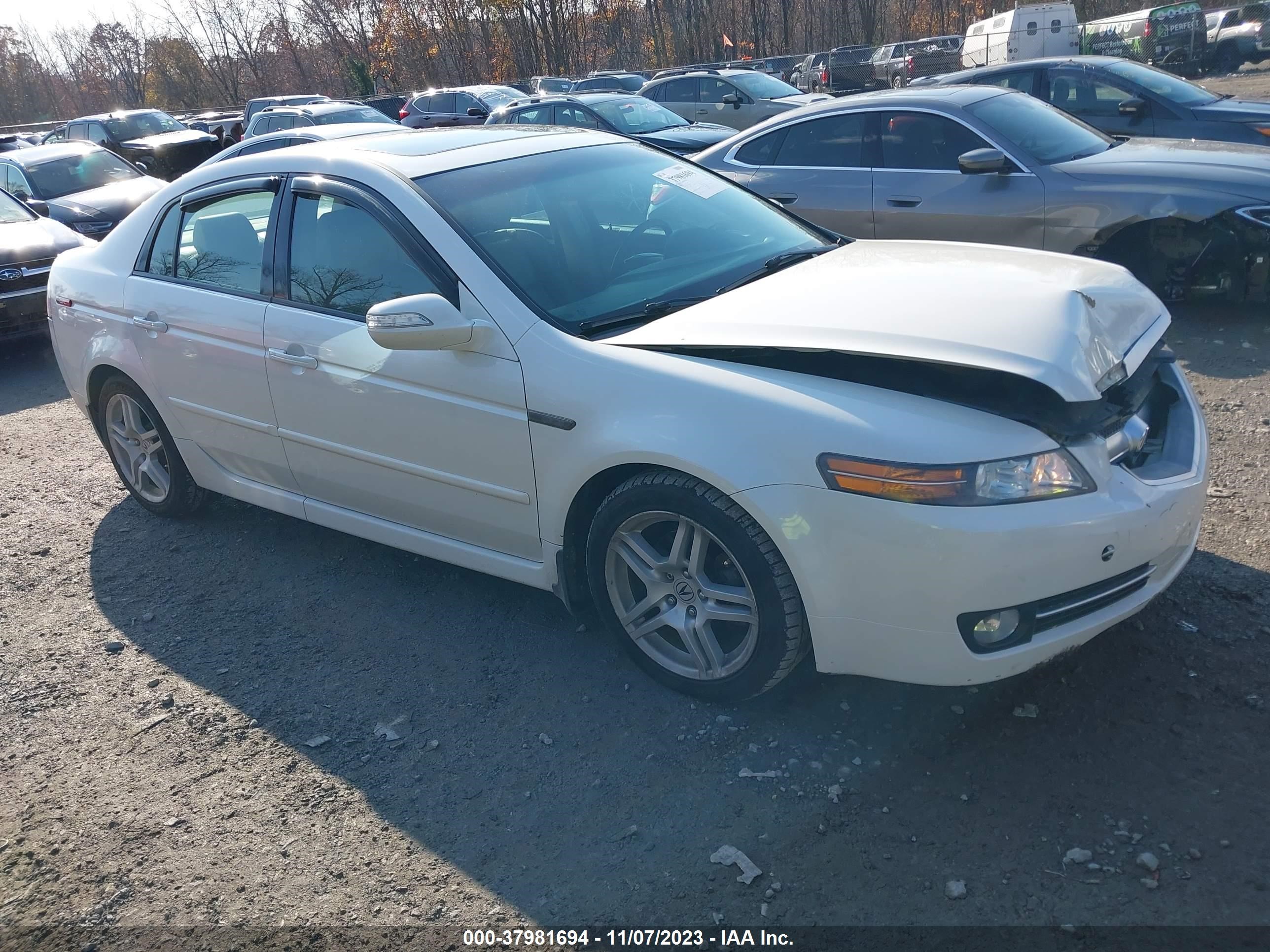 acura tl 2008 19uua66258a017099