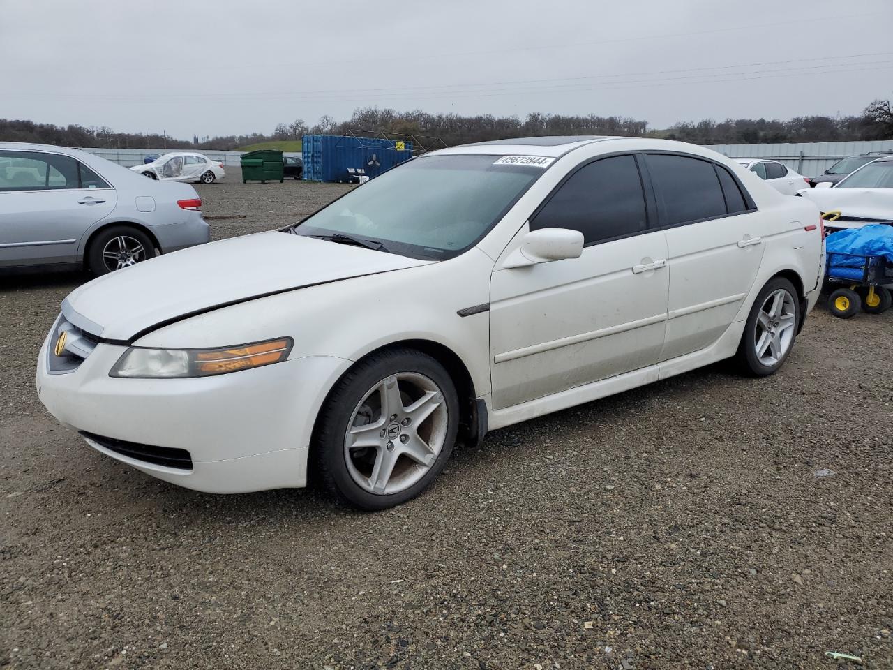 acura tl 2005 19uua66265a021299