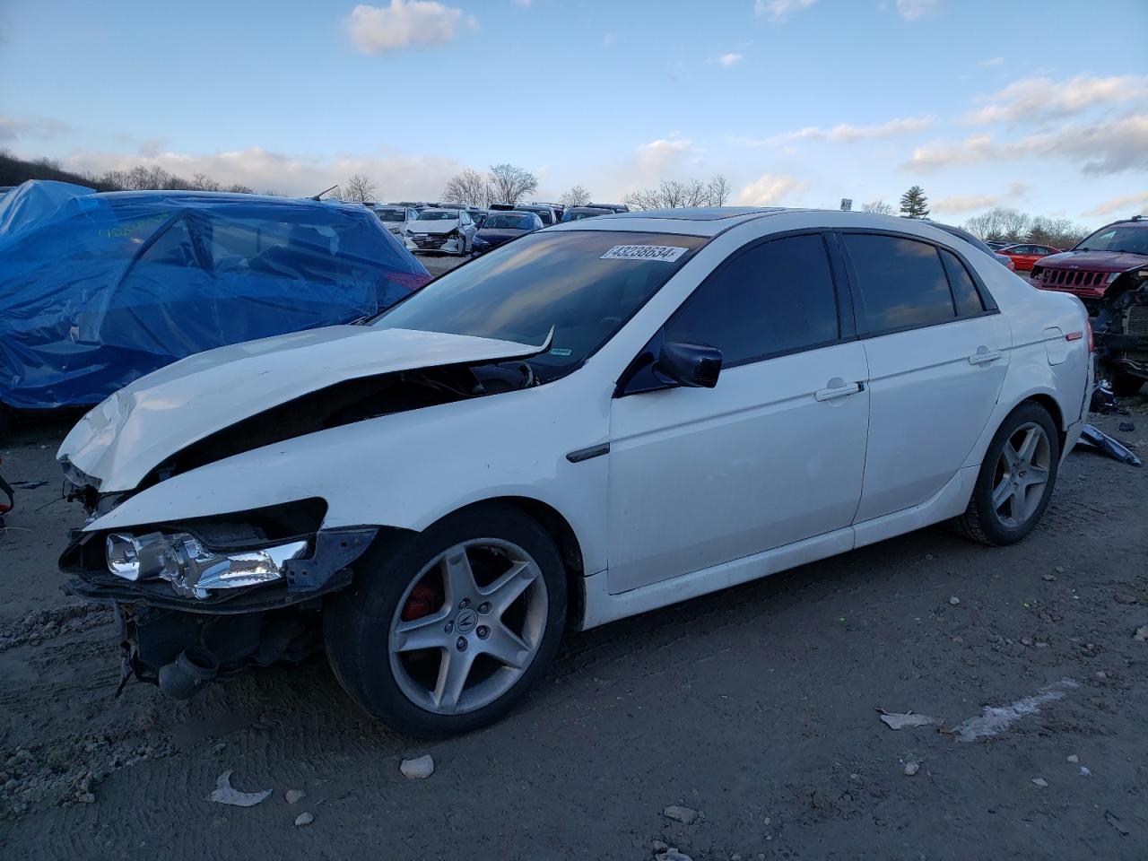 acura tl 2006 19uua66266a003886