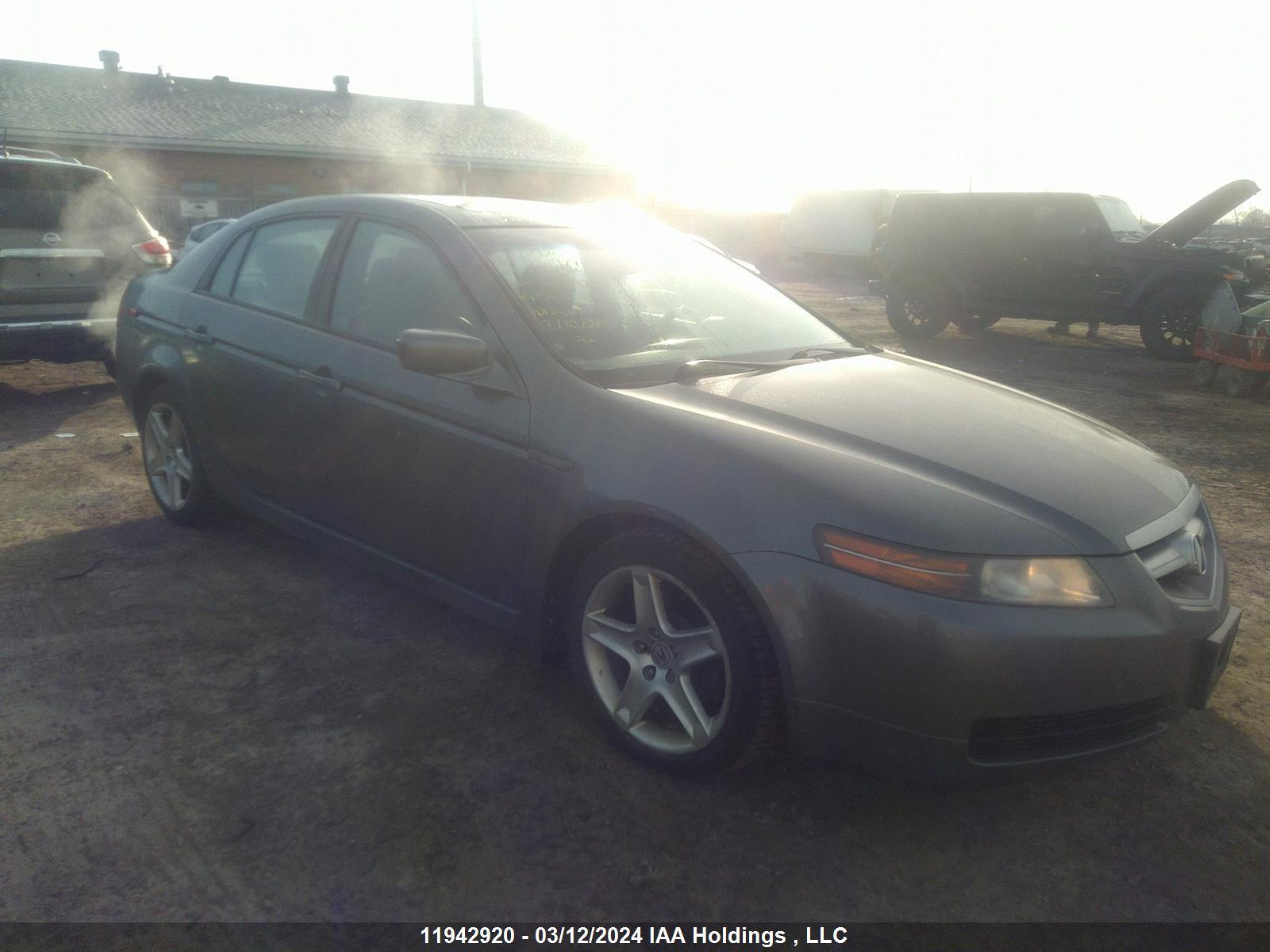 acura tl 2006 19uua66266a800977