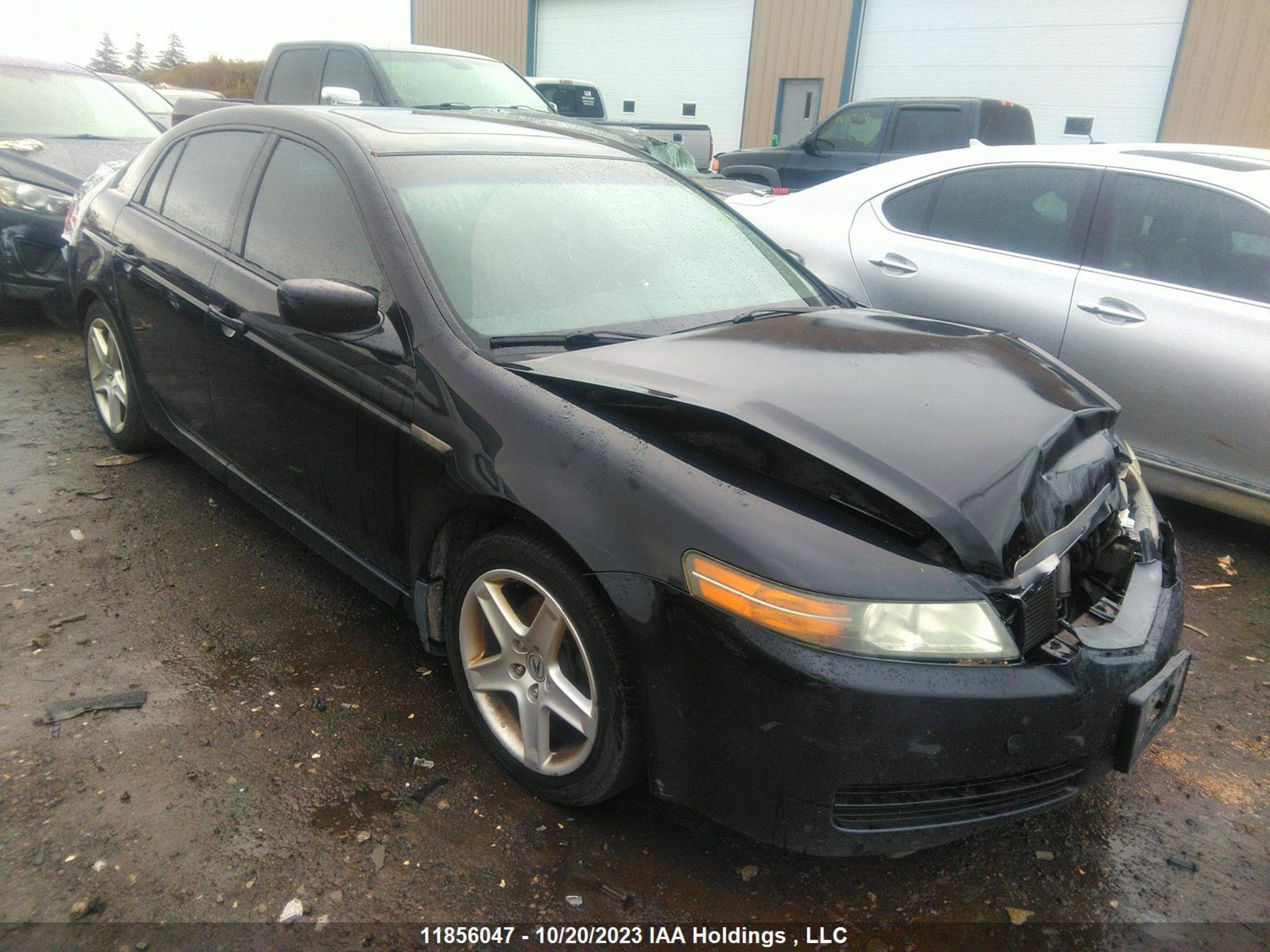 acura tl 2006 19uua66266a803197