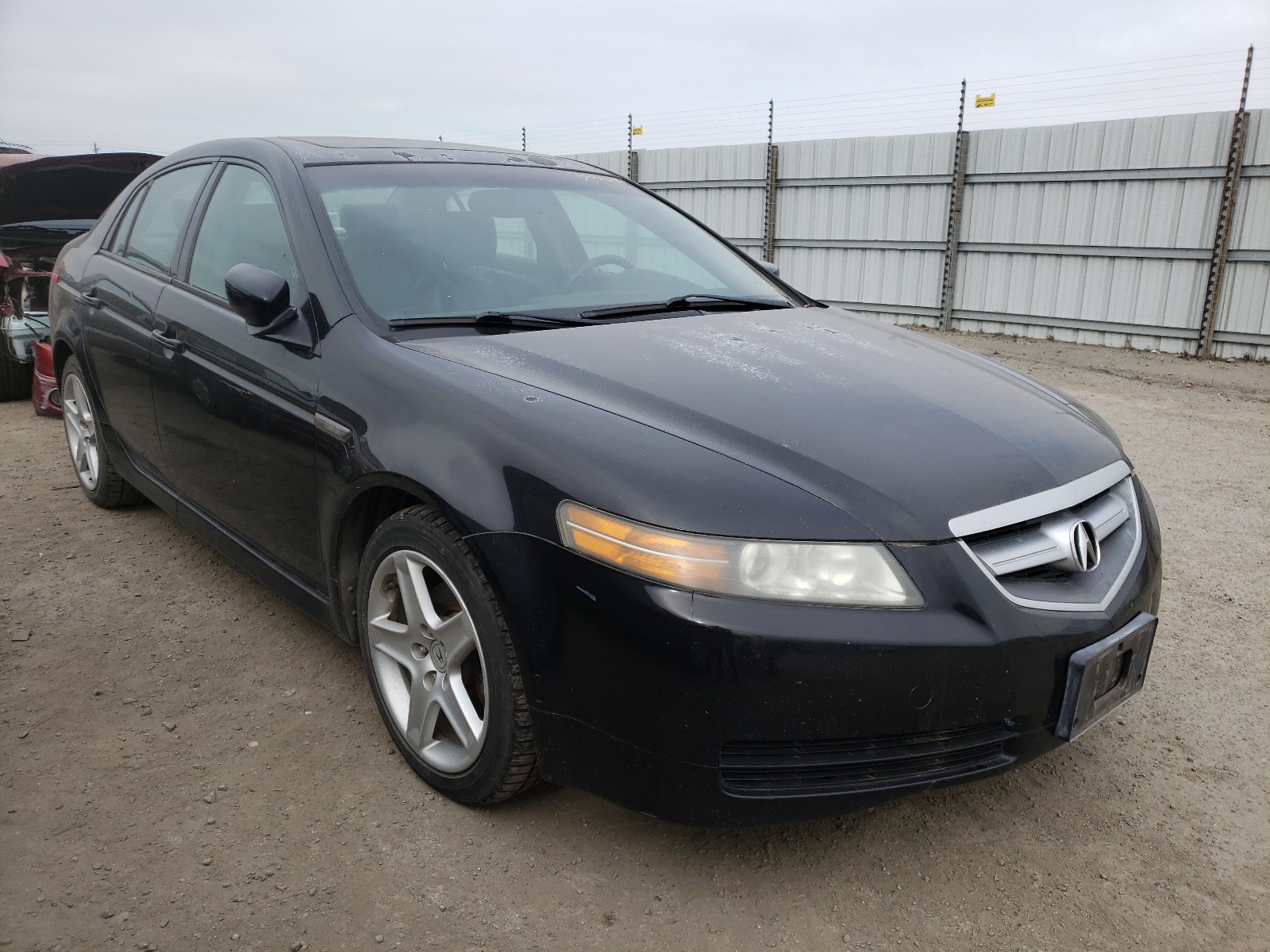 acura 3.2tl 2006 19uua66276a056452