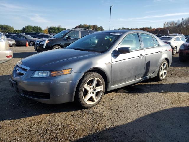 acura 3.2tl 2006 19uua66286a058002