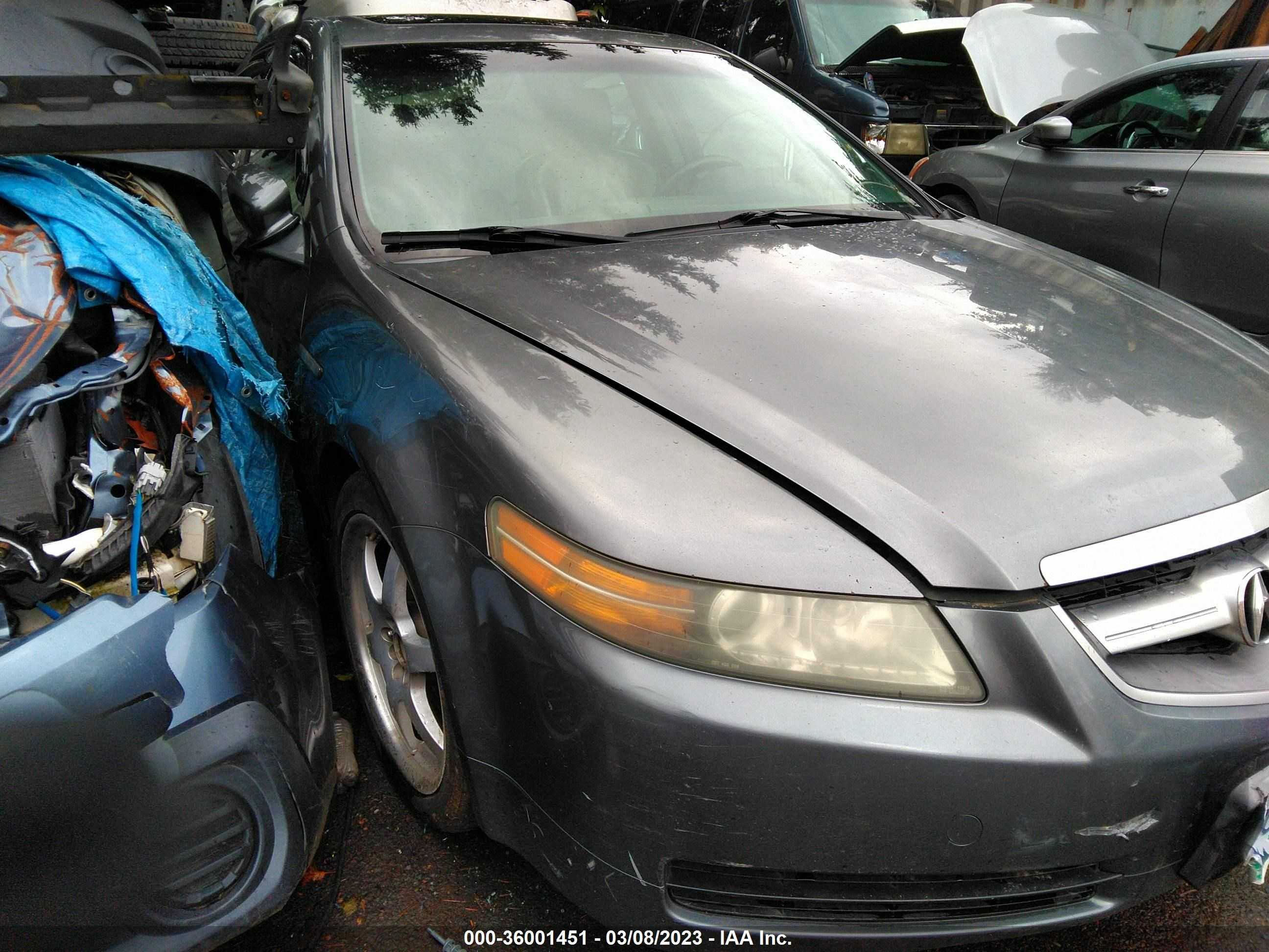 acura tl 2005 19uua66295a029848