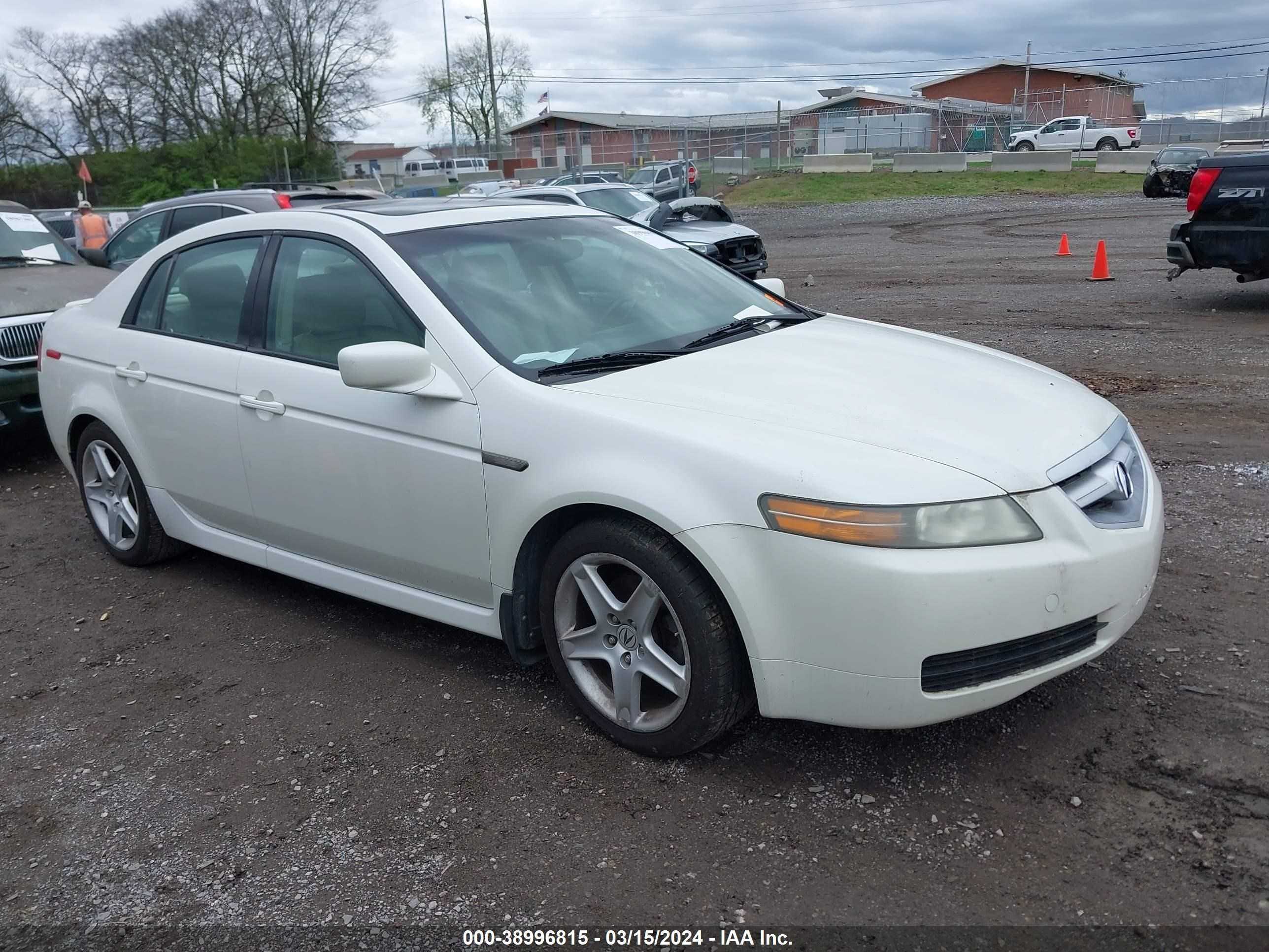 acura tl 2006 19uua66296a037840