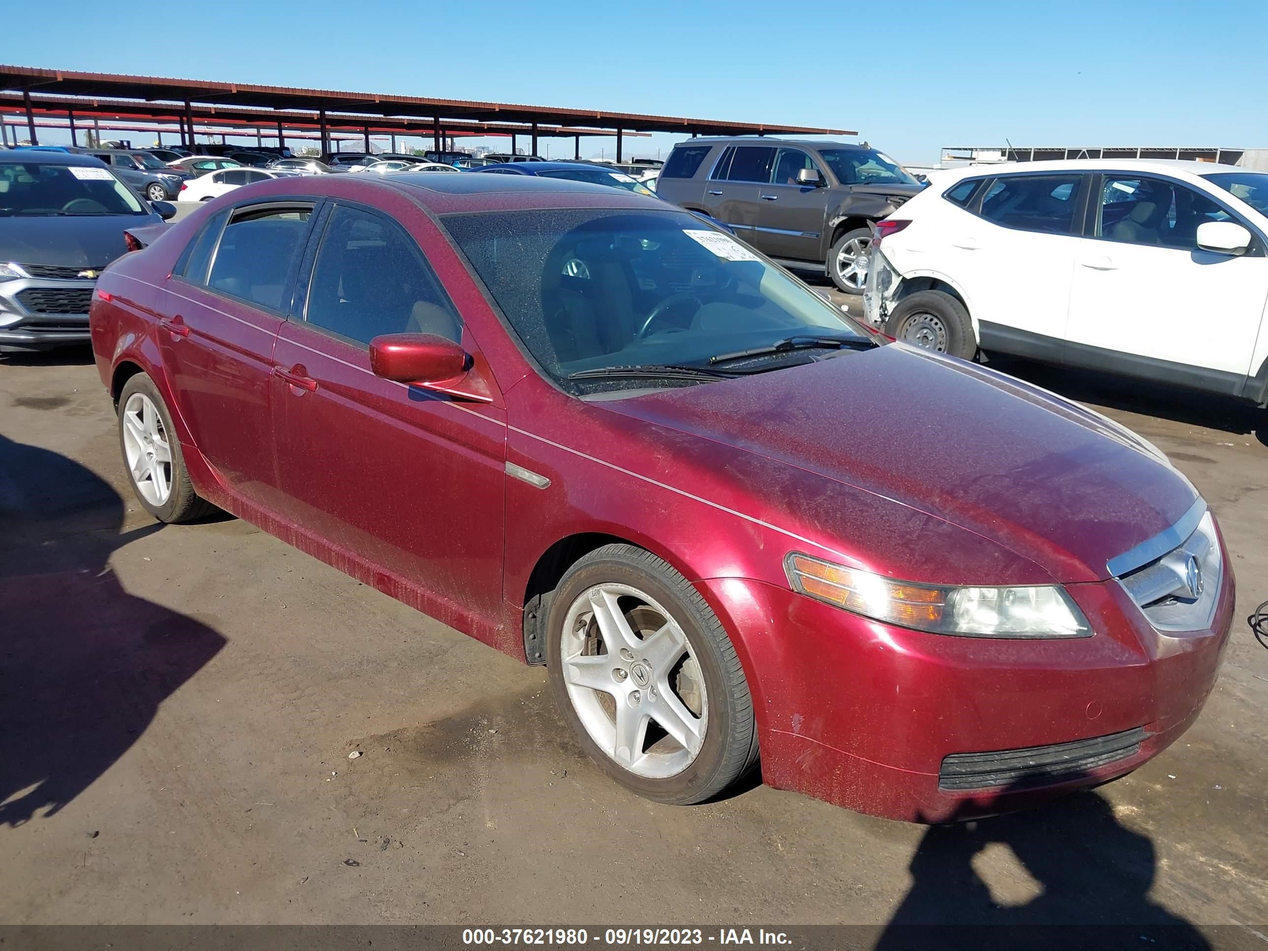 acura tl 2006 19uua662x6a054887