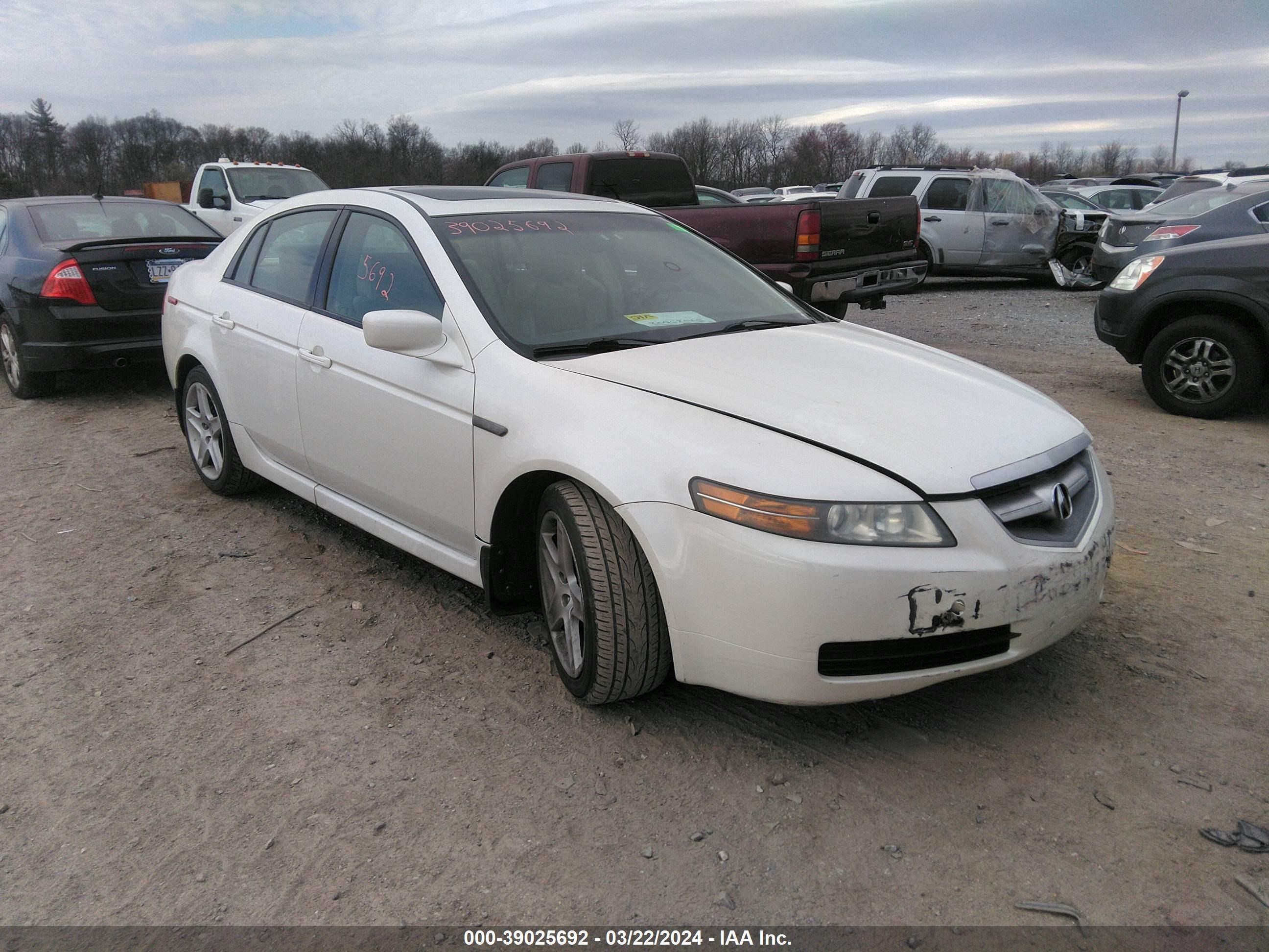 acura tl 2006 19uua662x6a062391