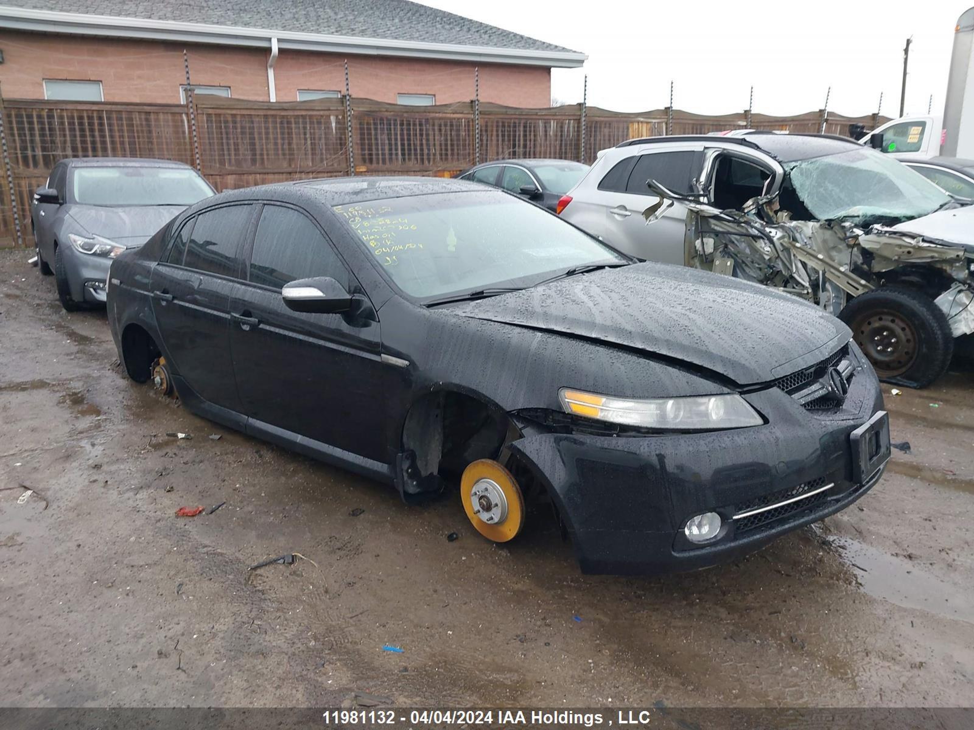 acura tl 2008 19uua76598a802824