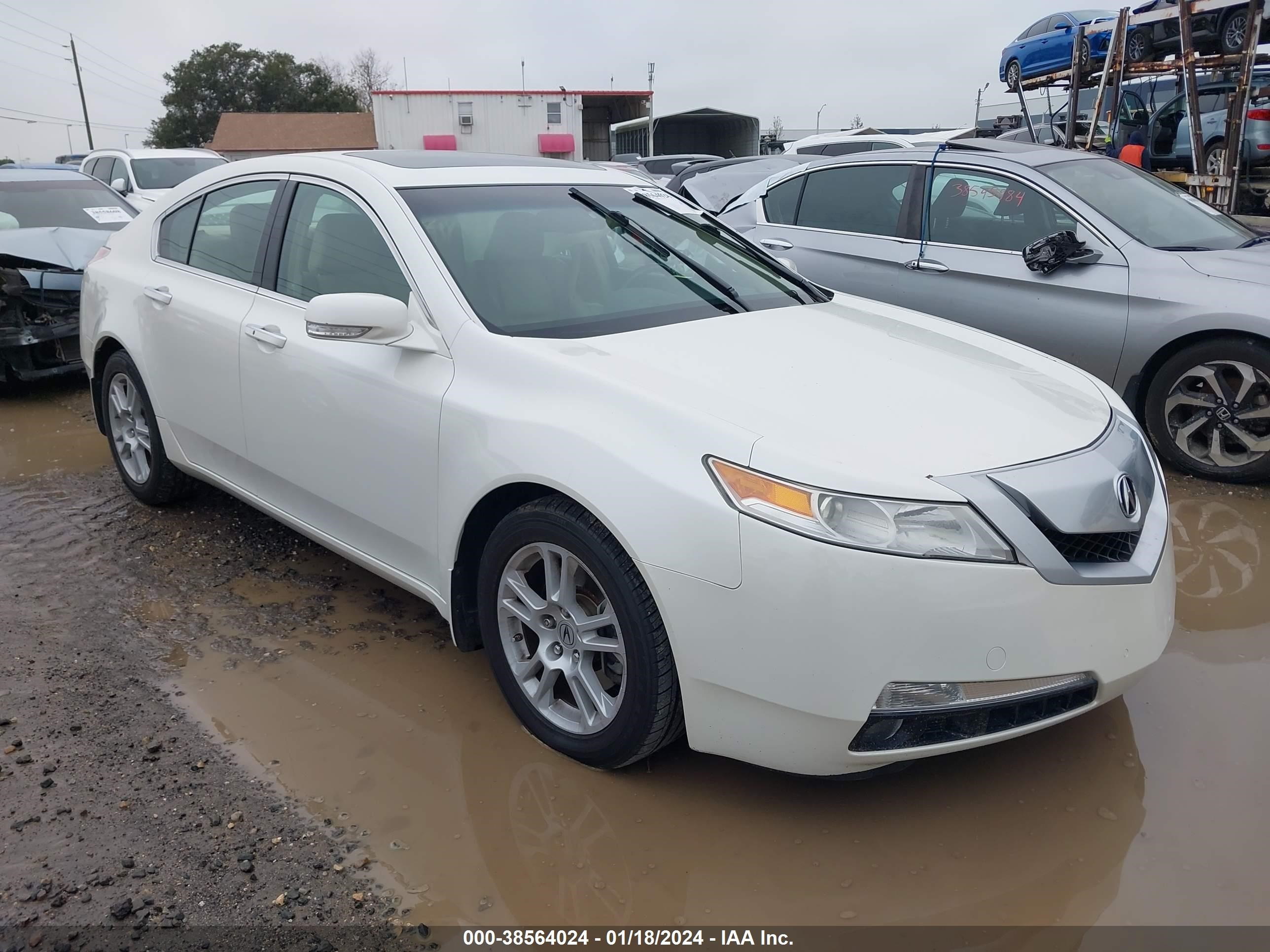 acura tl 2009 19uua86529a026429