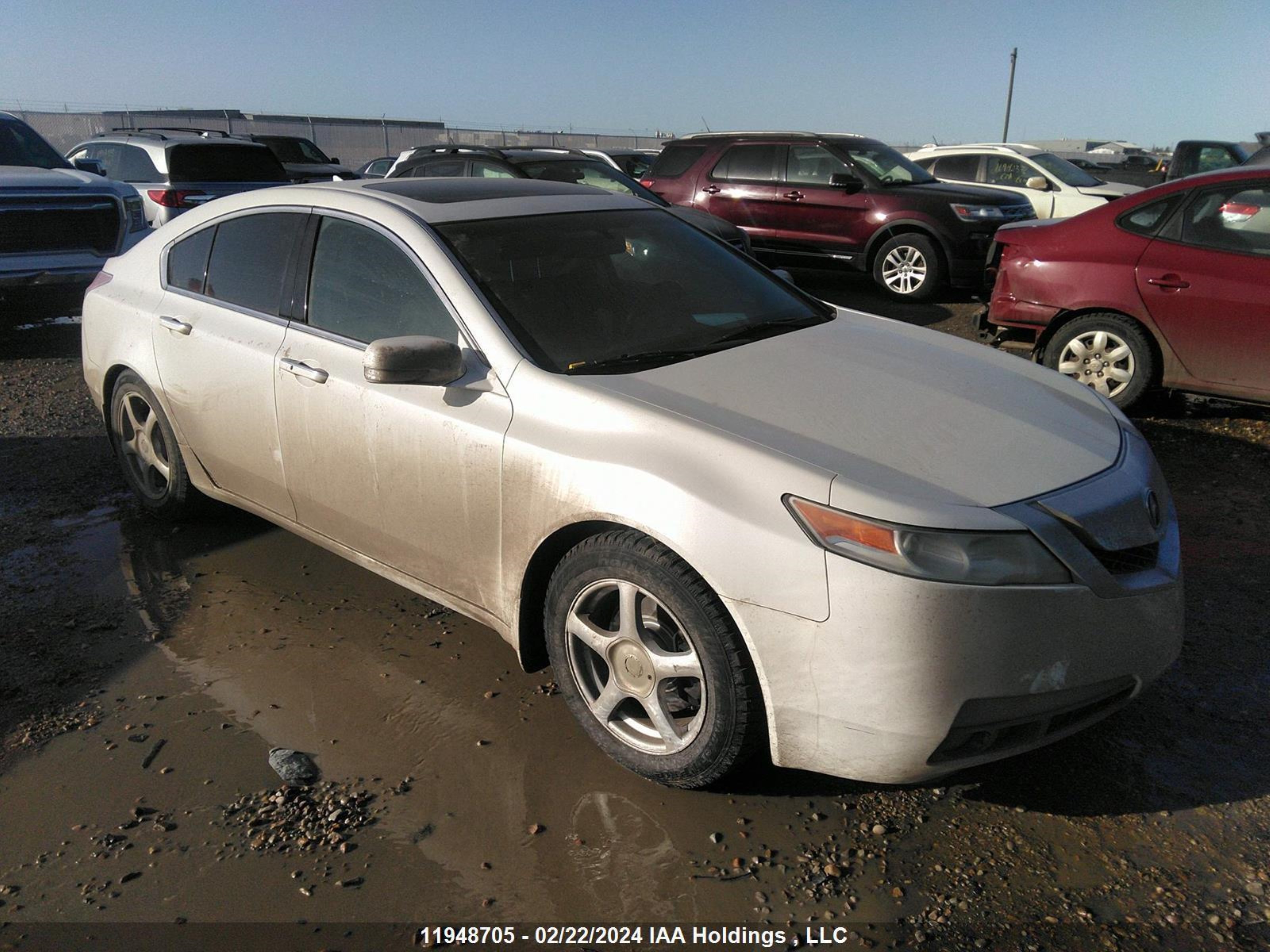 acura tl 2009 19uua86569a800407