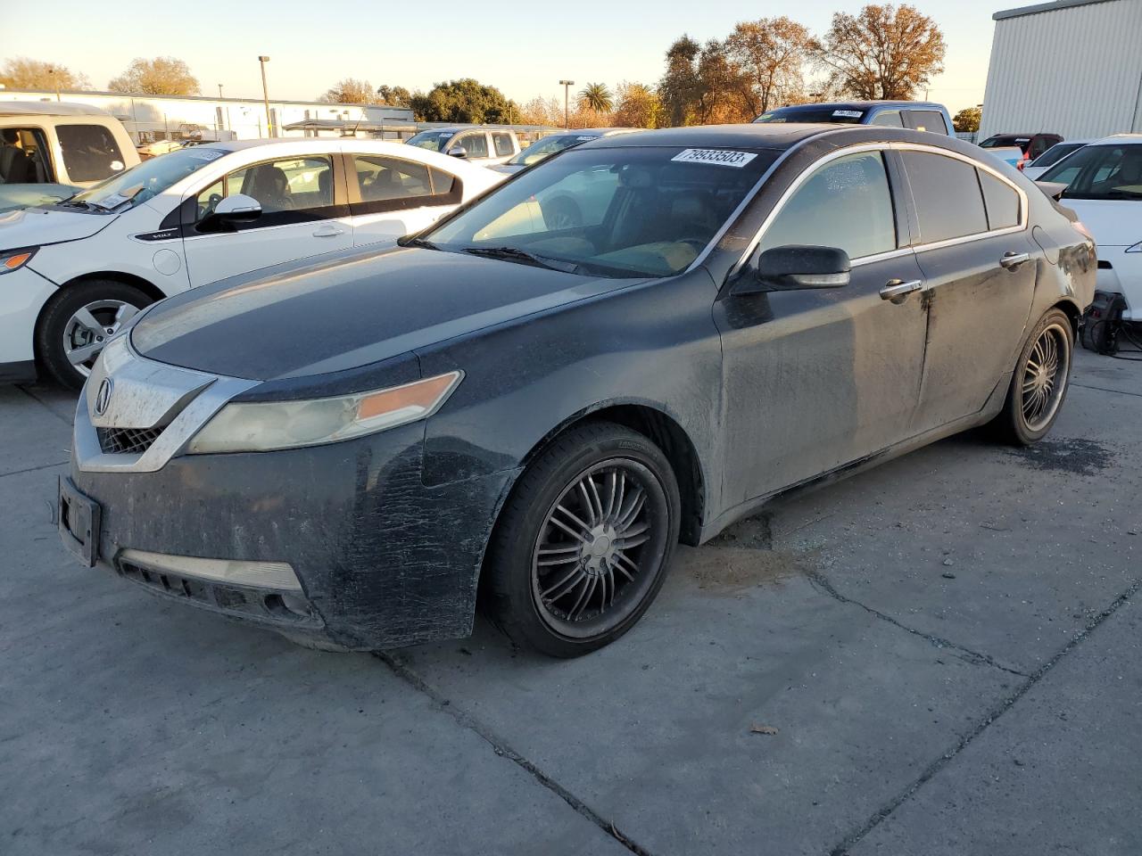 acura tl 2010 19uua8f52aa026399