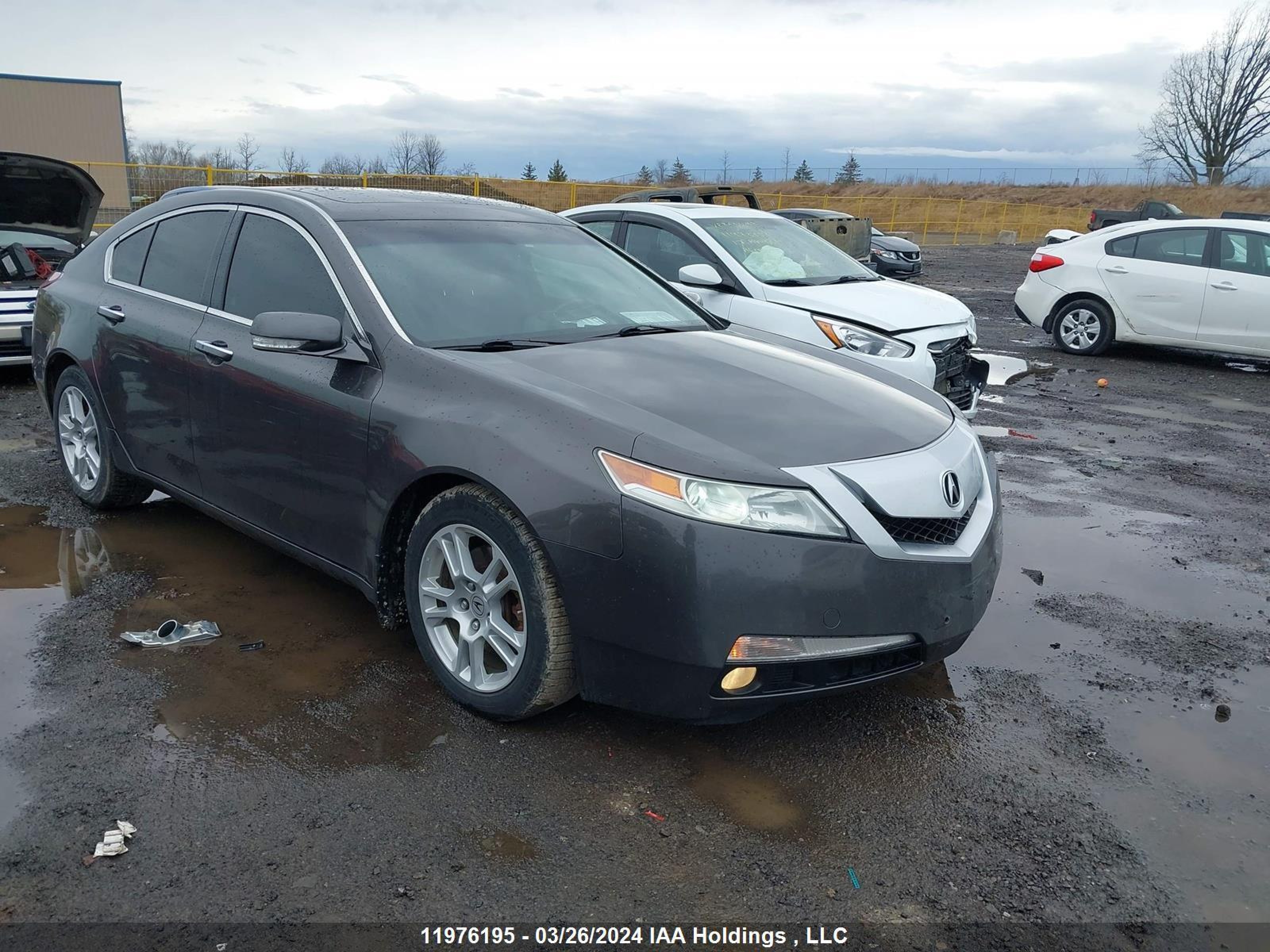 acura tl 2011 19uua8f59ba800097