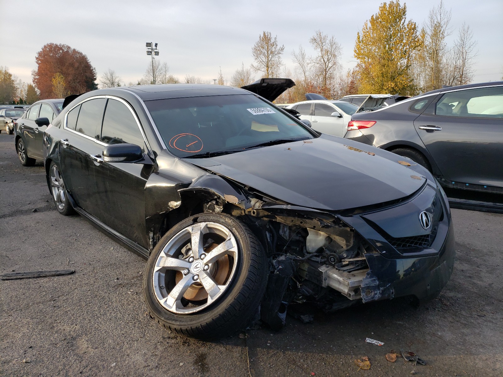 acura tl 2009 19uua96509a005729