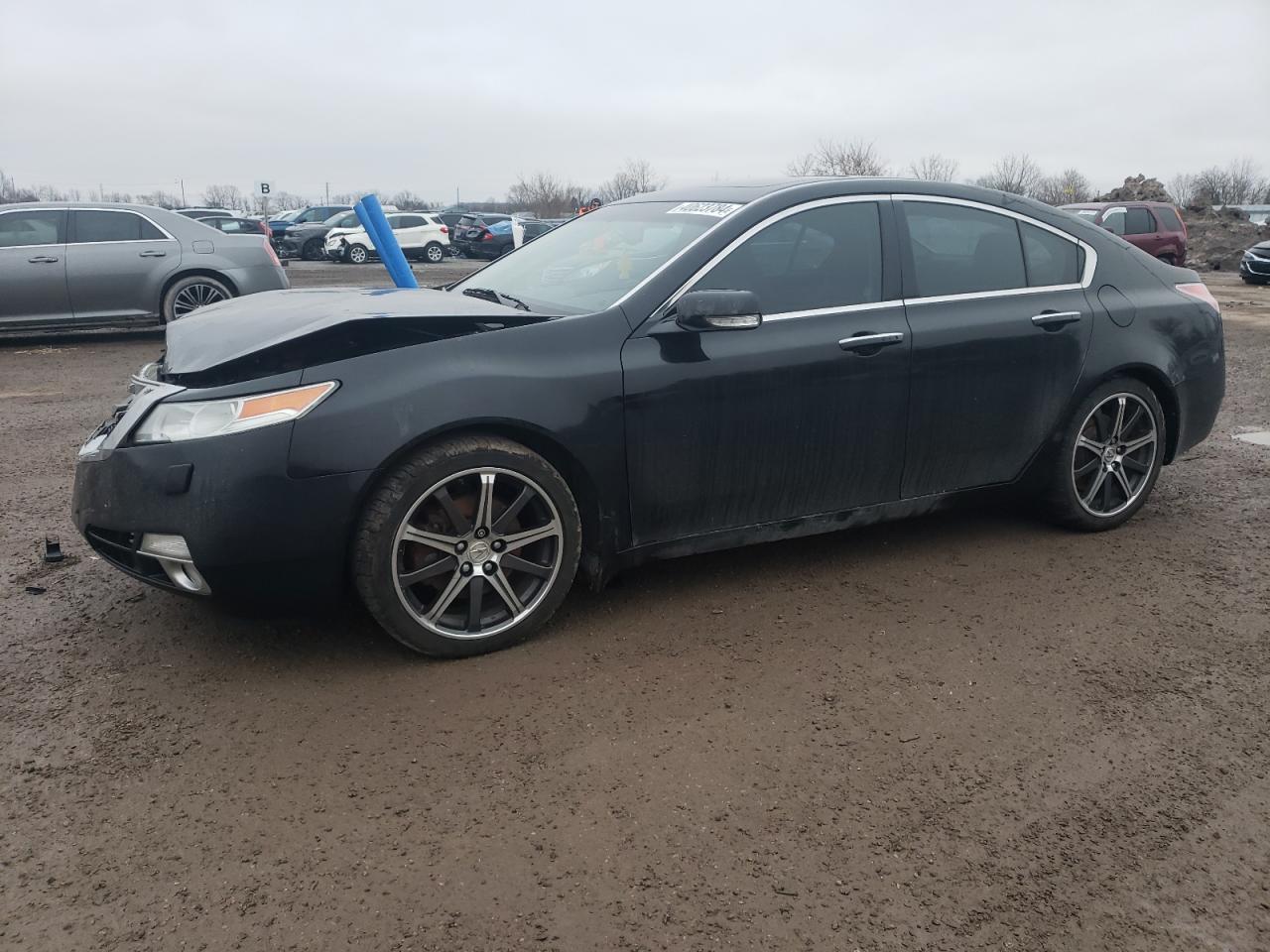 acura tl 2009 19uua96559a800923