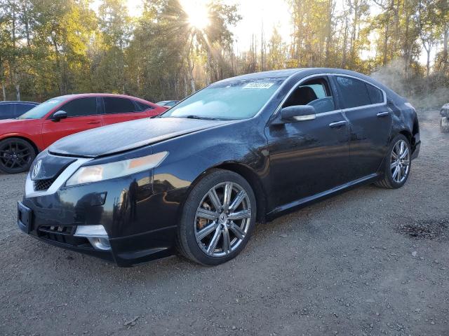 acura tl 2009 19uua96559a801084