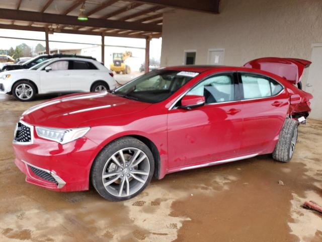 acura tlx techno 2019 19uub2f42ka010108