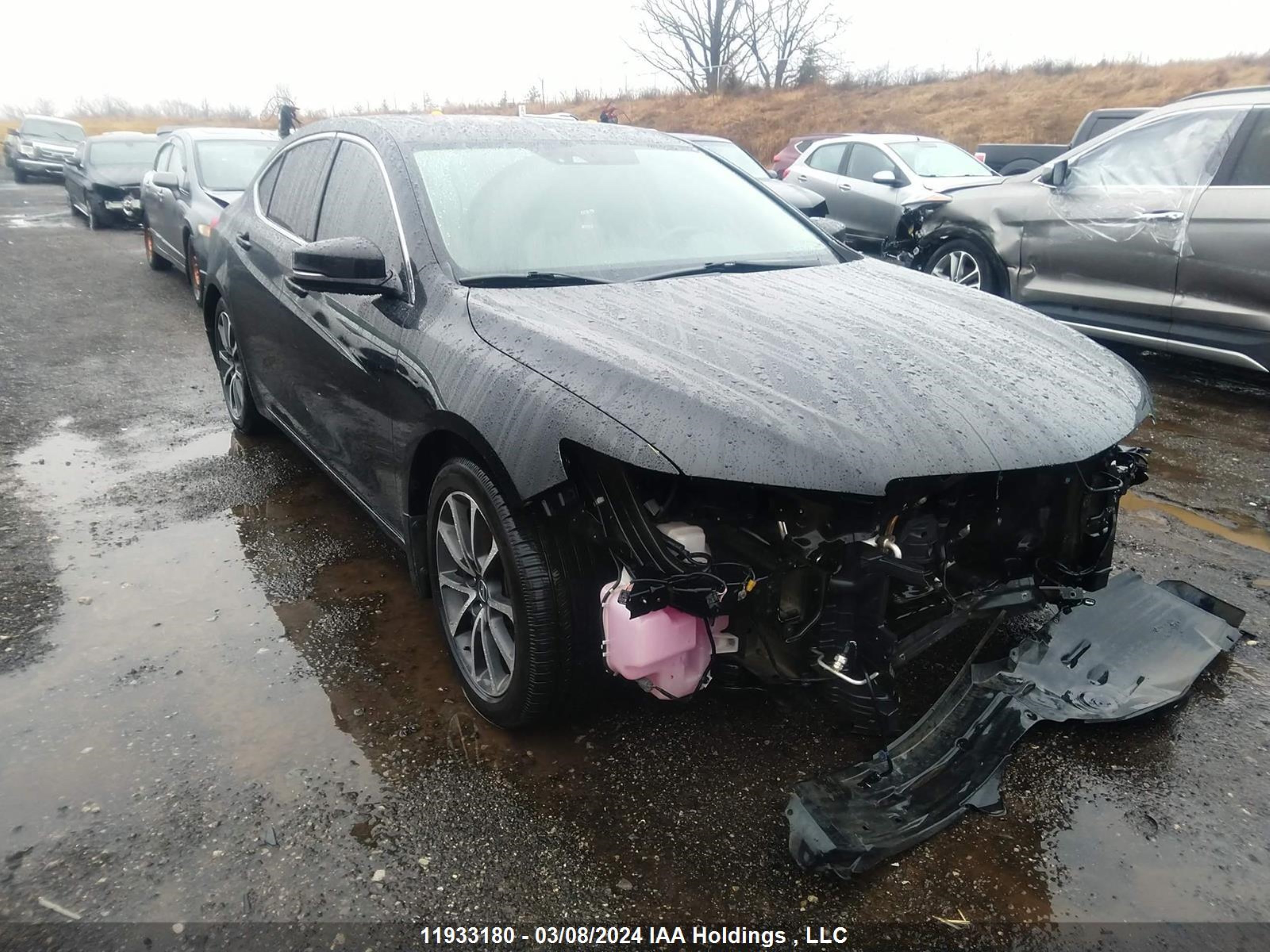 acura tlx 2016 19uub3f50ga801176