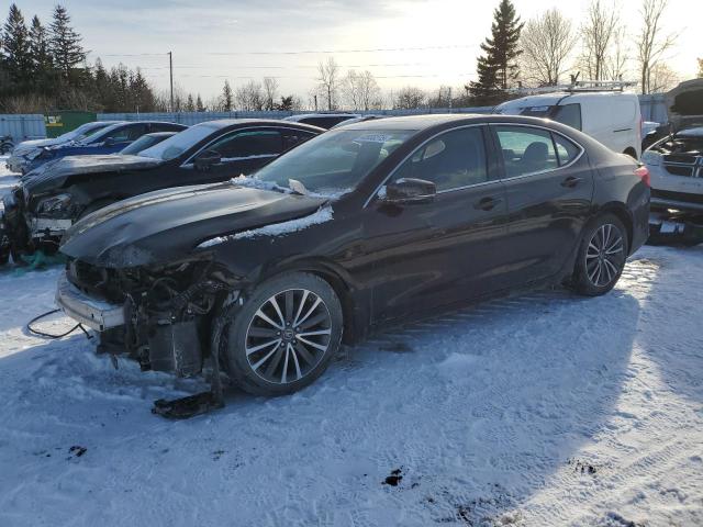 acura tlx techno 2019 19uub3f58ka801015