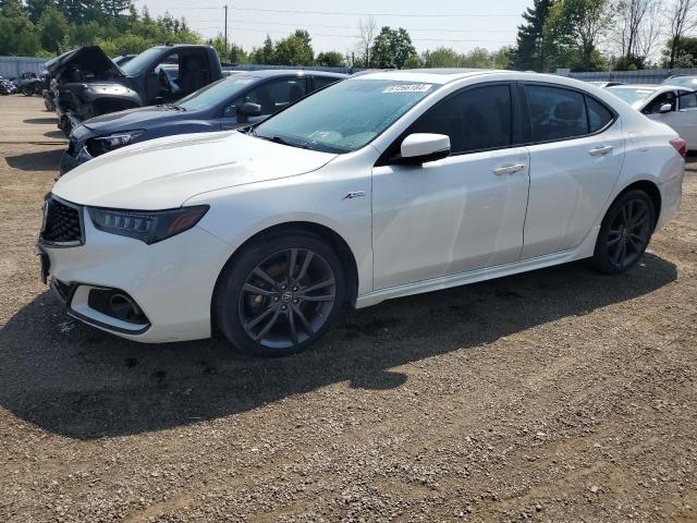 acura tlx advanc 2019 19uub3f85ka801130