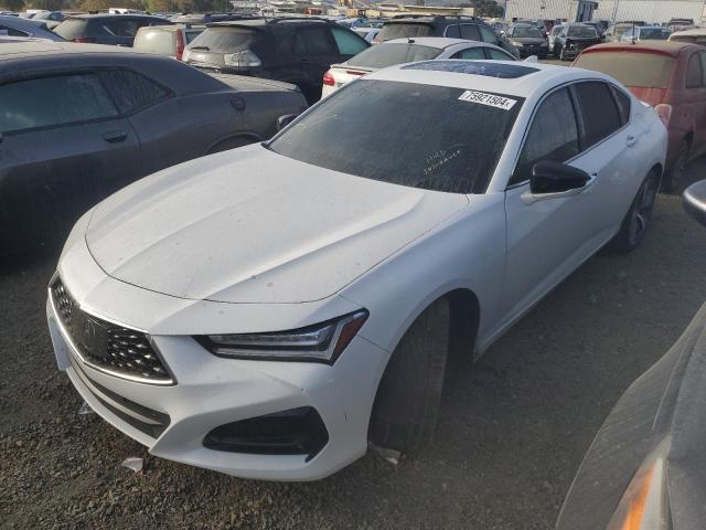 acura tlx advanc 2021 19uub5f69ma001279