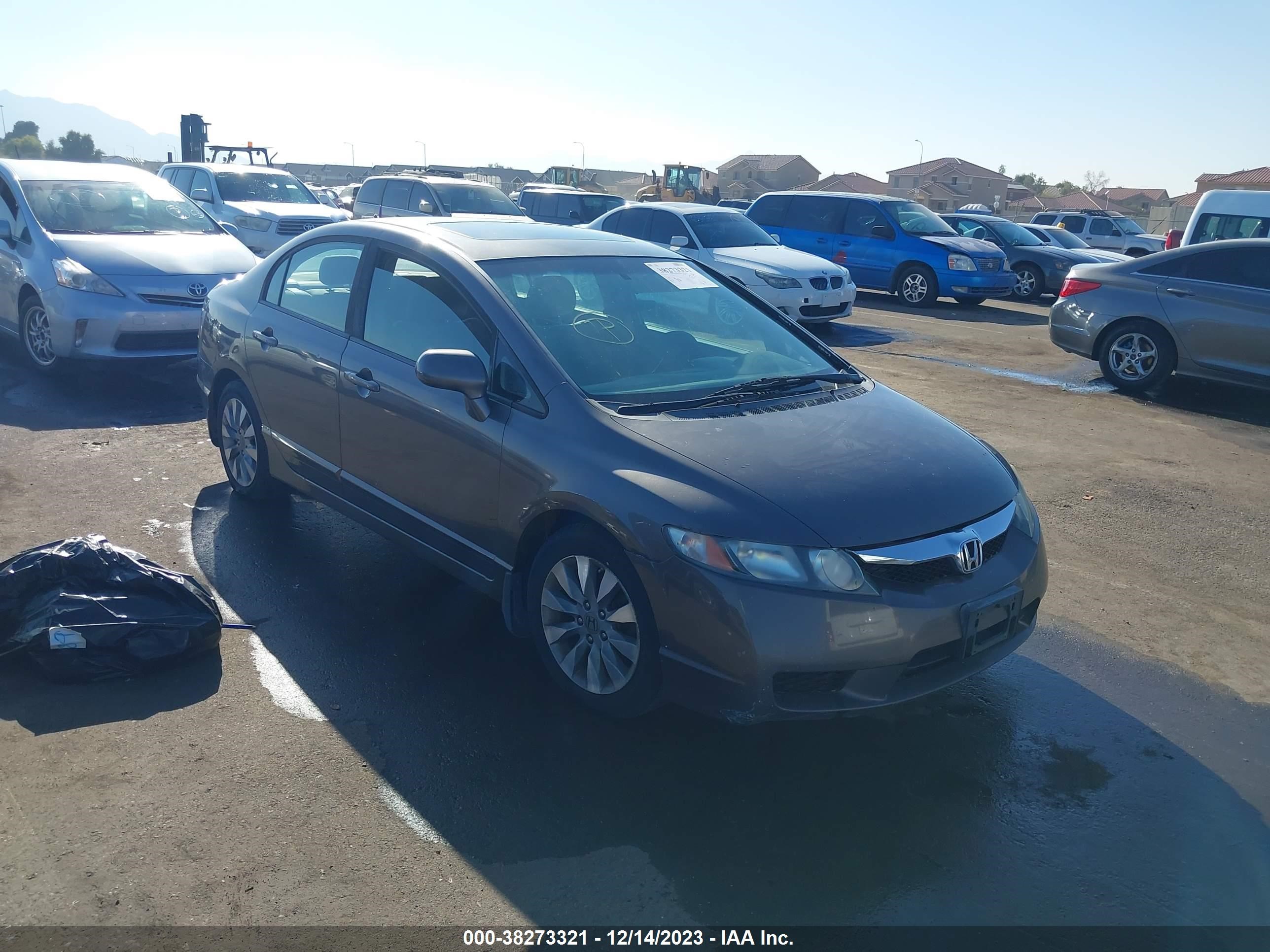 honda civic 2009 19xfa16849e035848