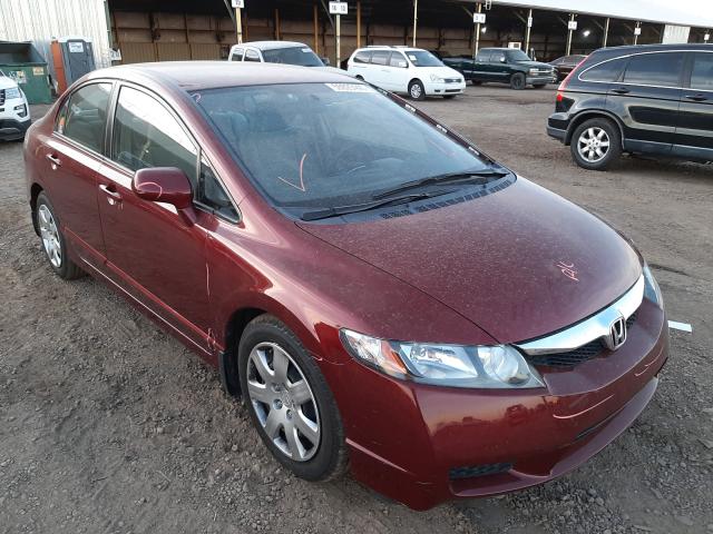 honda civic lx 2010 19xfa1f53ae078653