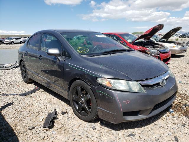 honda civic lx 2010 19xfa1f55ae003629