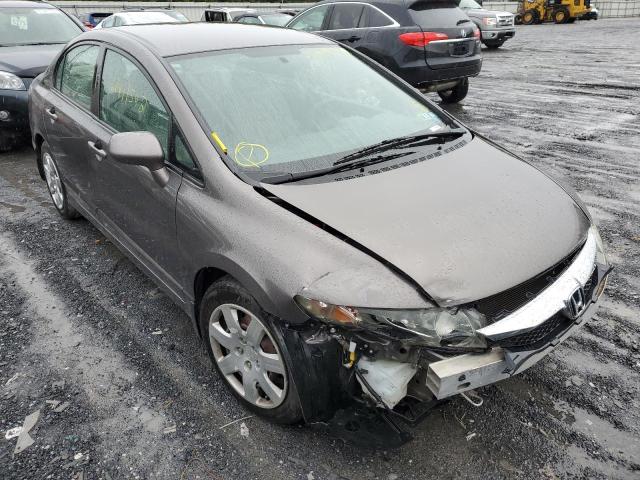 honda civic lx 2010 19xfa1f57ae071771