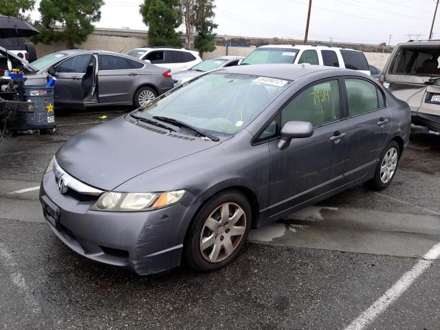 honda civic lx 2010 19xfa1f58ae006301