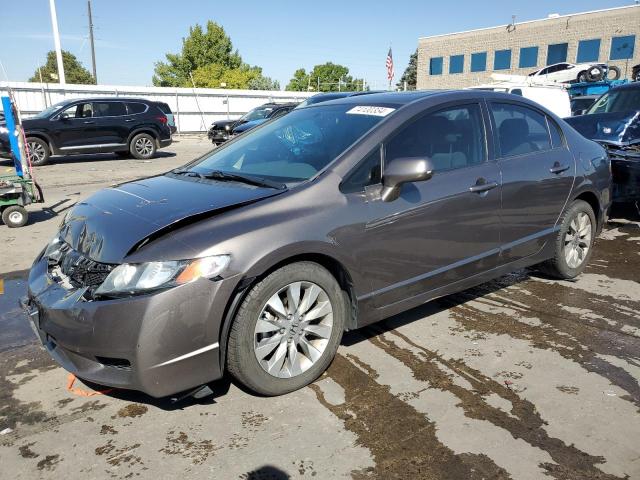 honda civic ex 2010 19xfa1f81ae062896